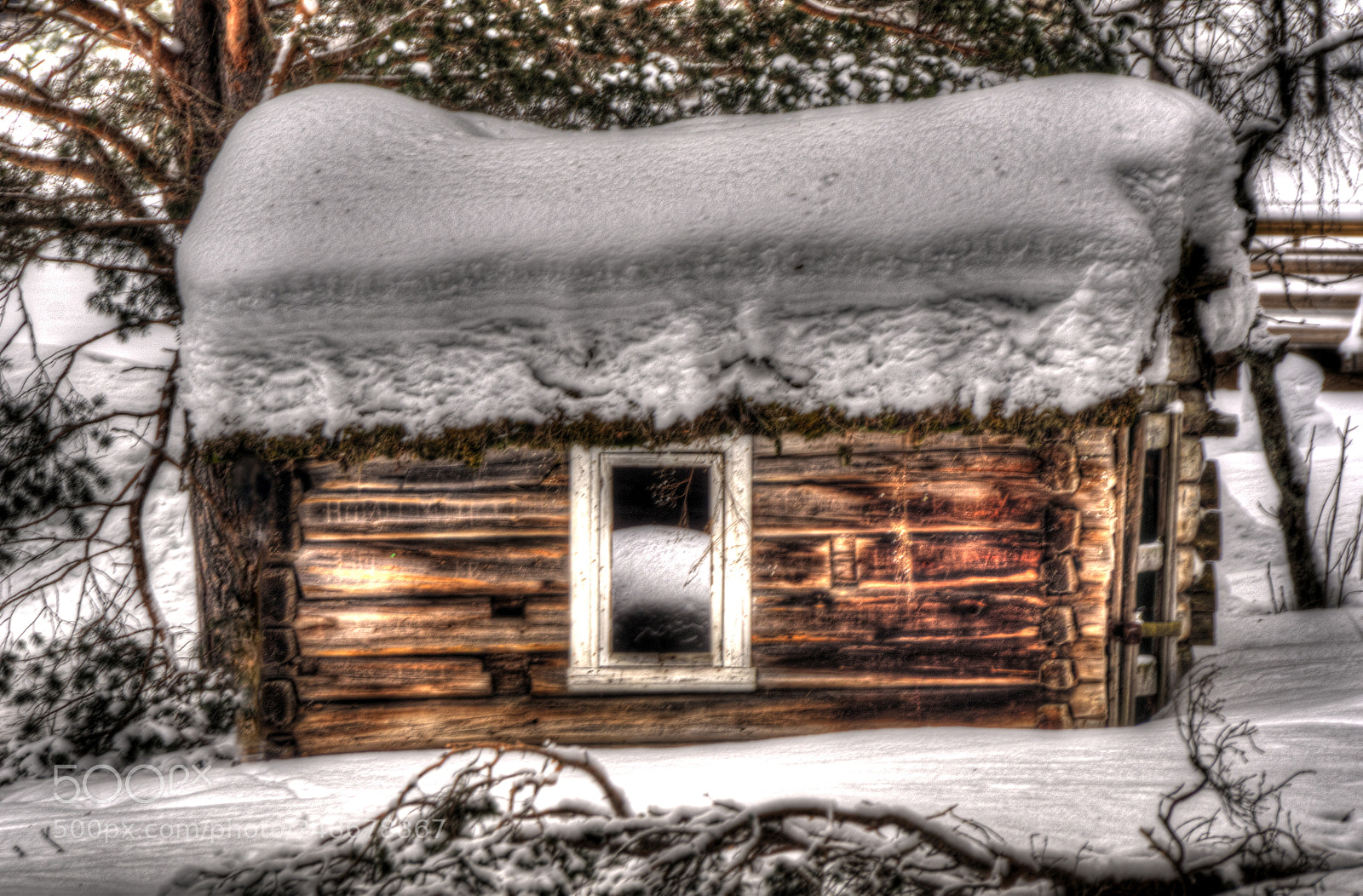 Nikon D7000 sample photo. Timberhut photography