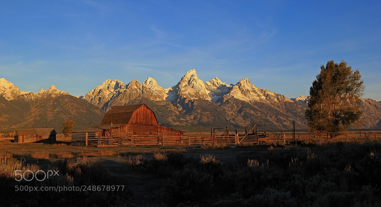 Canon EOS 60D sample photo. Sunrise at mormon row photography