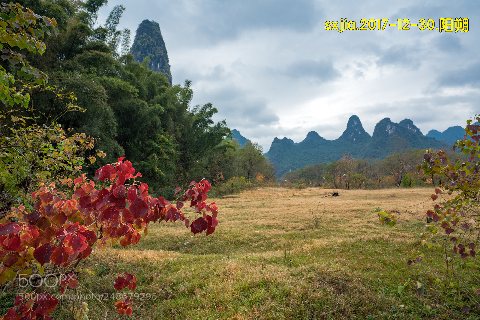 Sony a7R II sample photo. Untitled photography