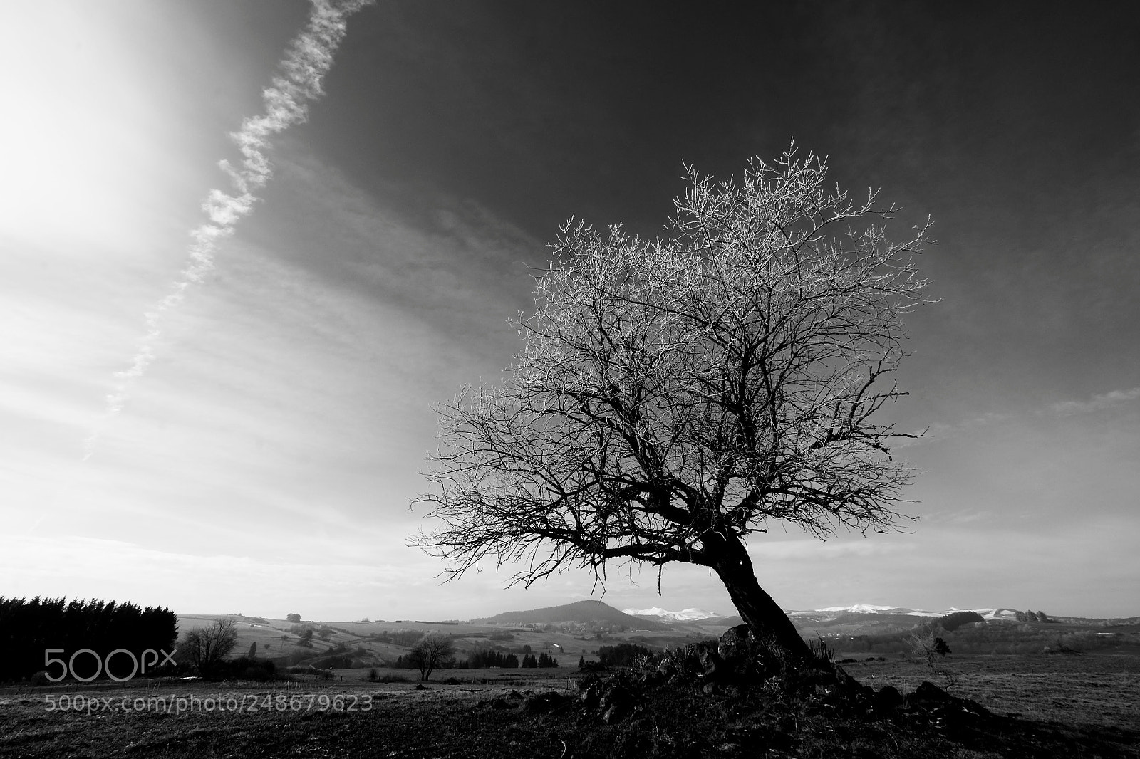 Fujifilm X-T1 sample photo. Givre photography