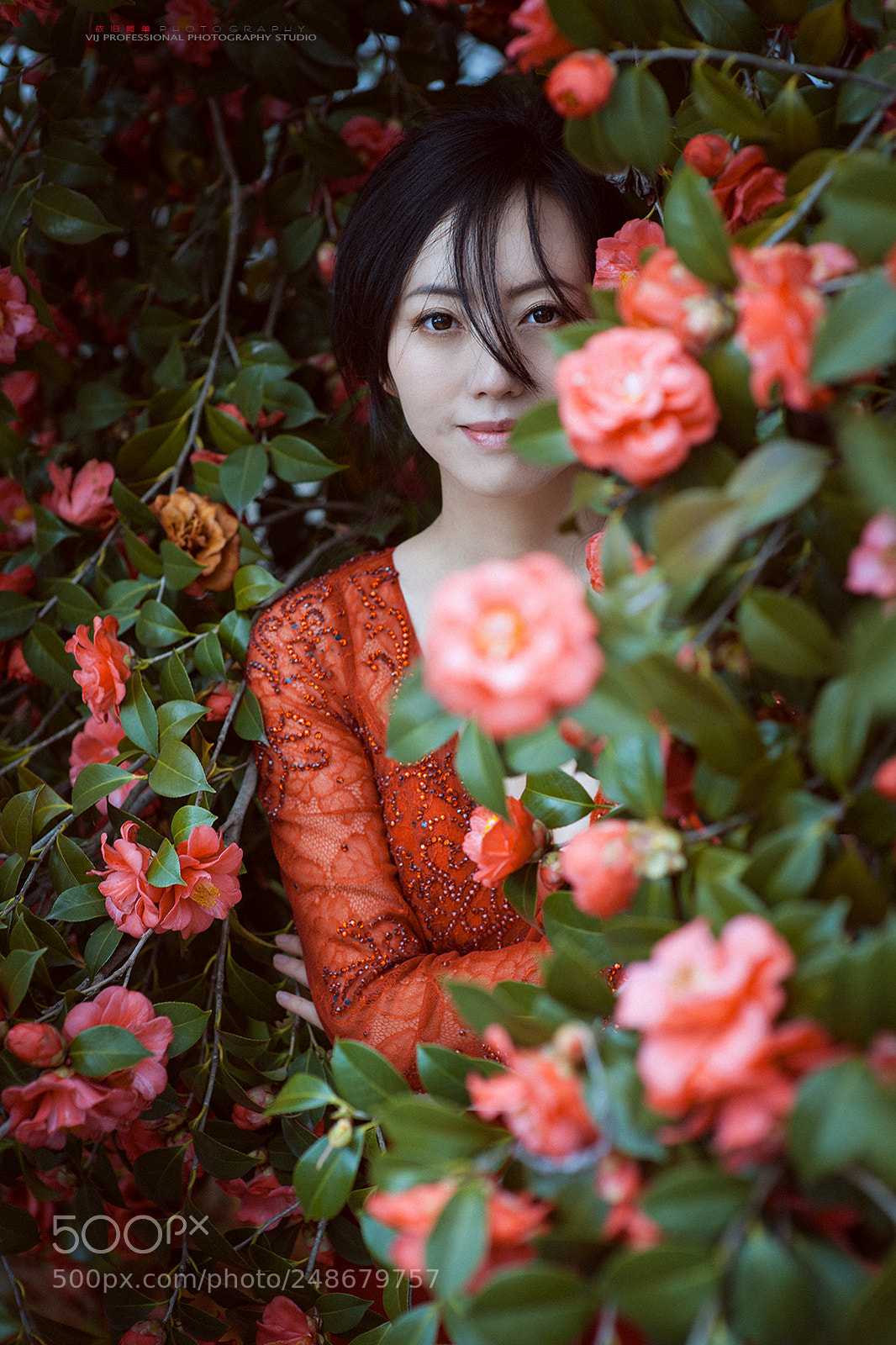 Nikon D3X sample photo. Flower photography