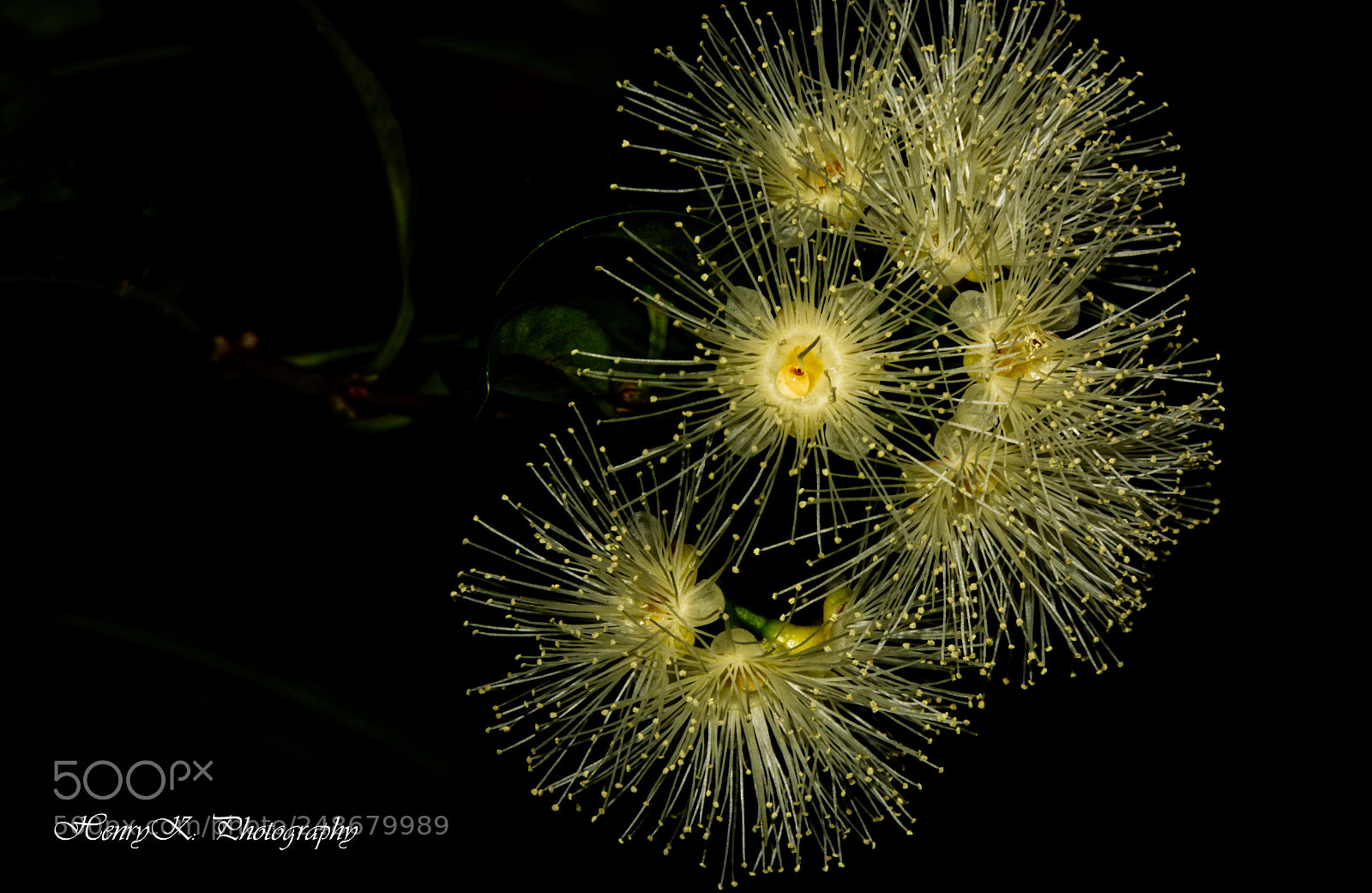 Nikon D7100 sample photo. A sweet smile photography