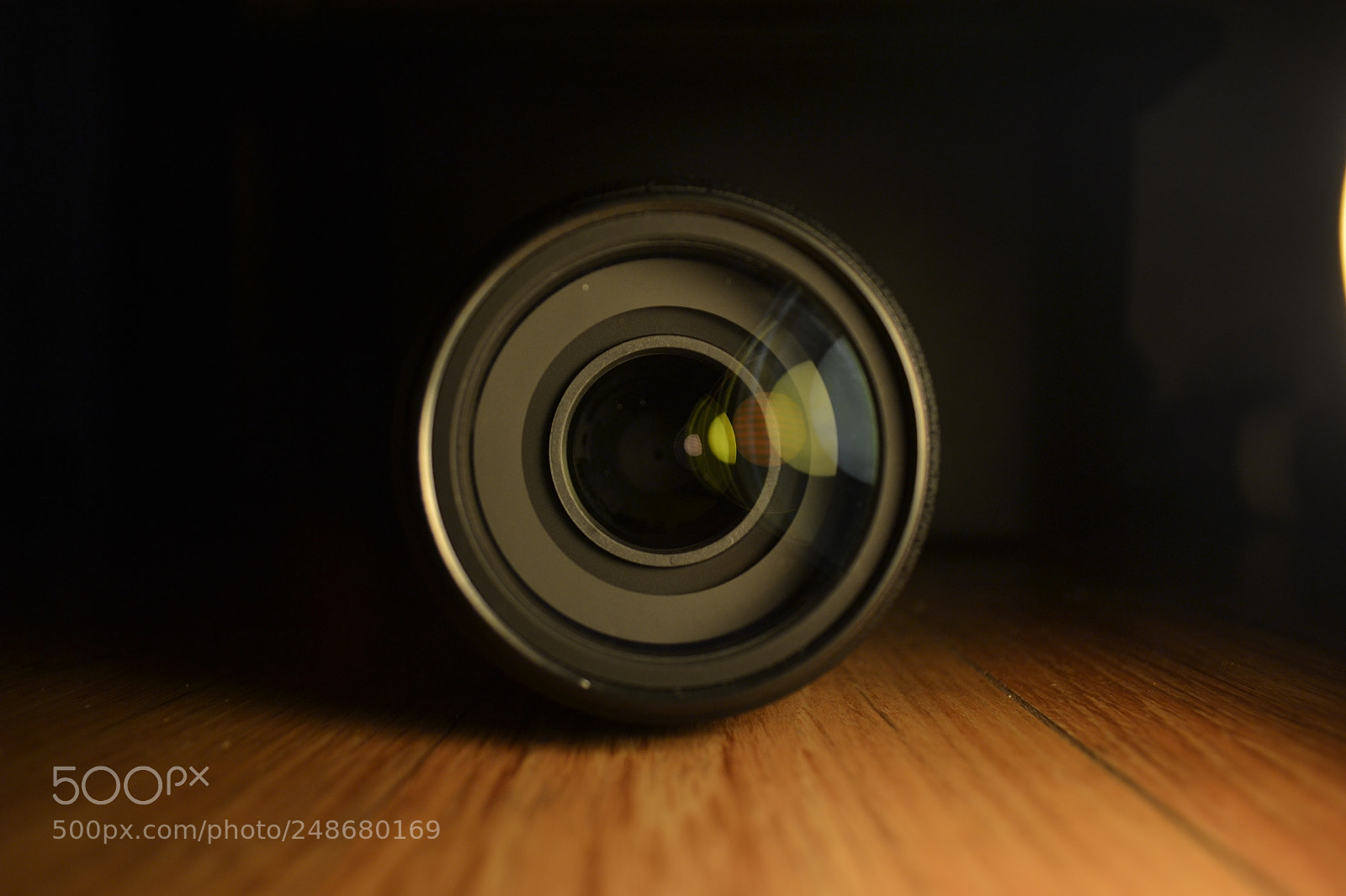 Nikon D3100 sample photo. Untitled photography