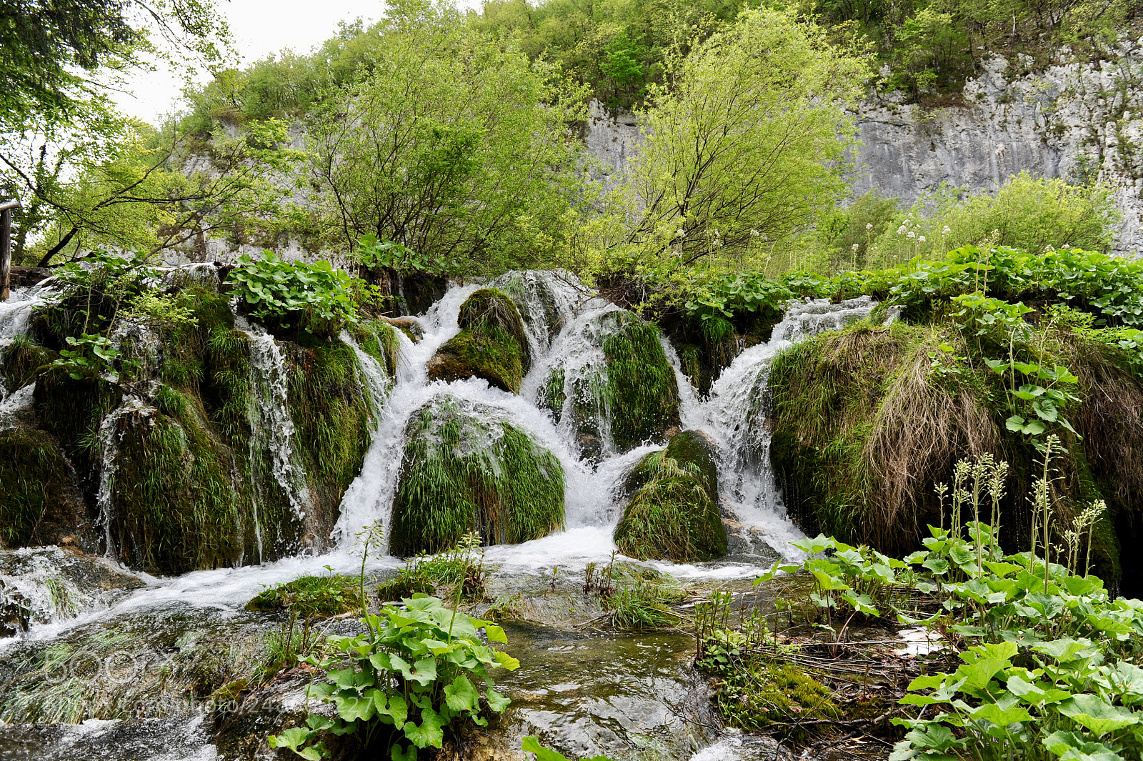 Nikon D3S sample photo. Waterfall photography