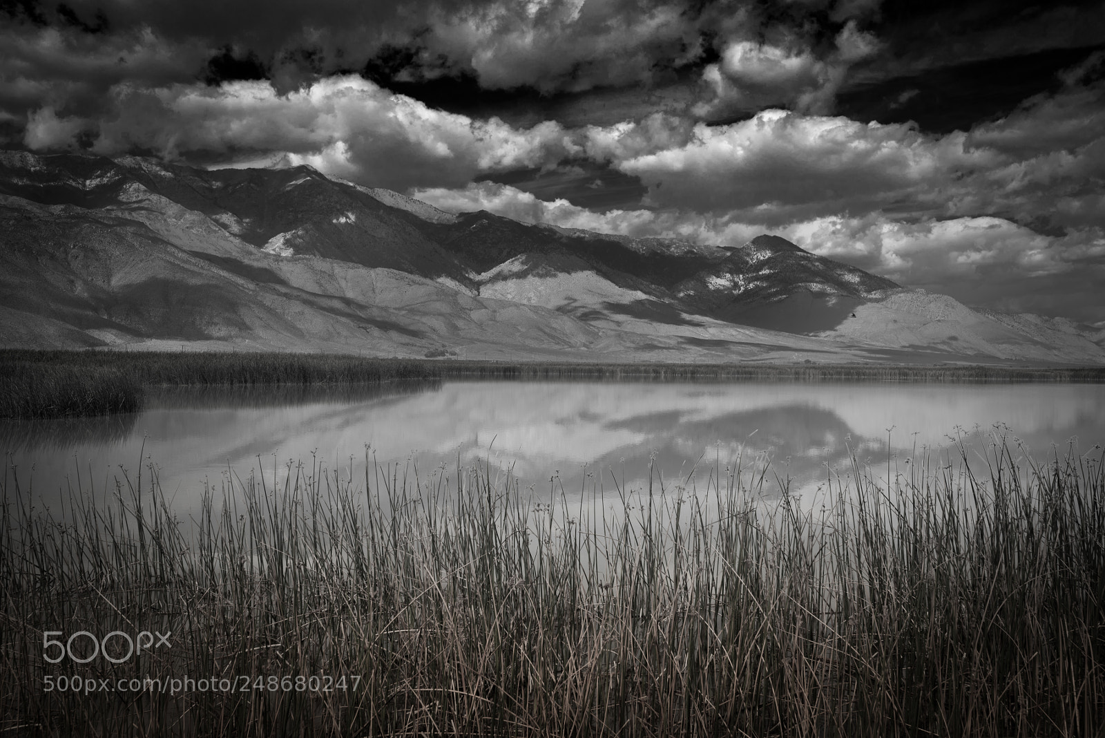 Nikon D600 sample photo. Owens lake photography