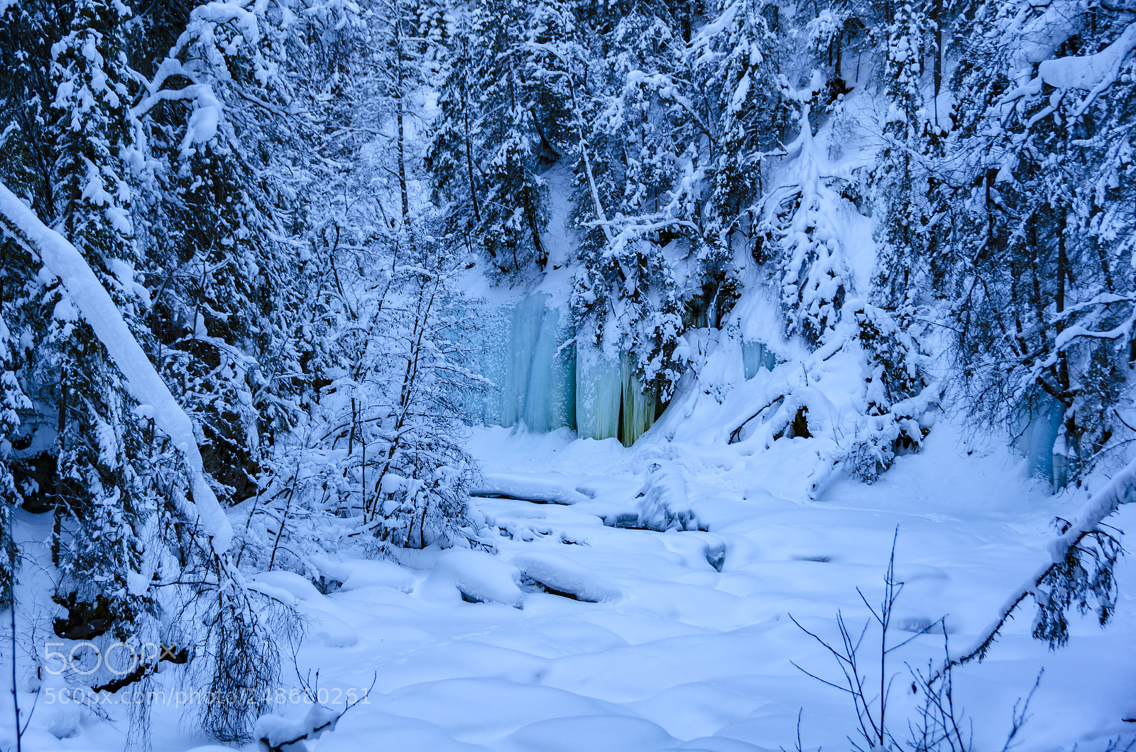 Nikon D7000 sample photo. Winterwonderland photography