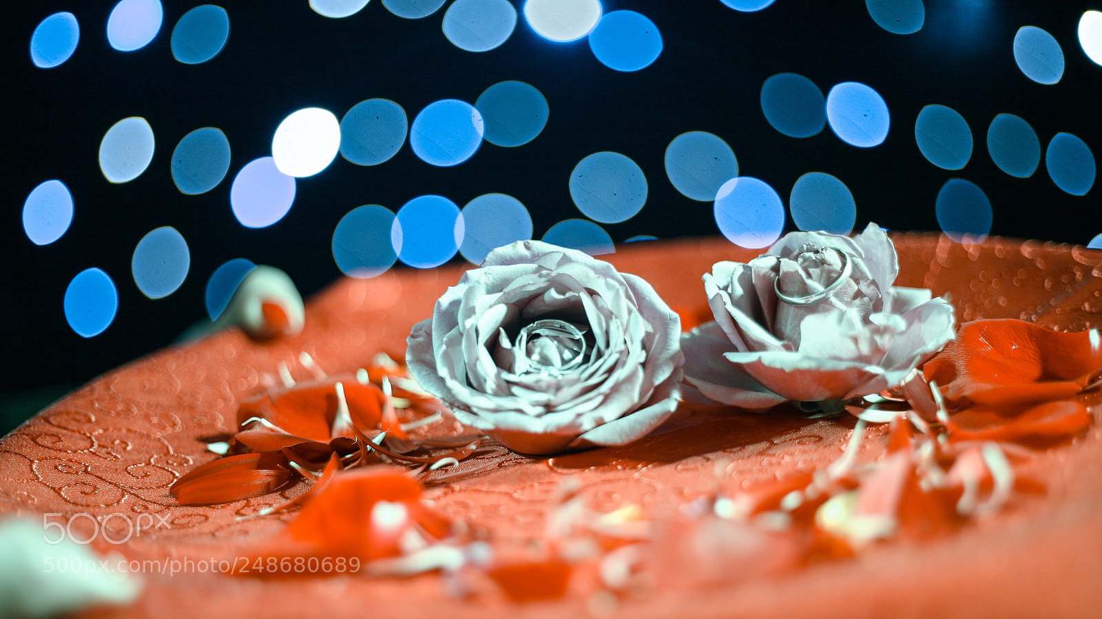 Canon EOS 5D sample photo. 婚礼 photography