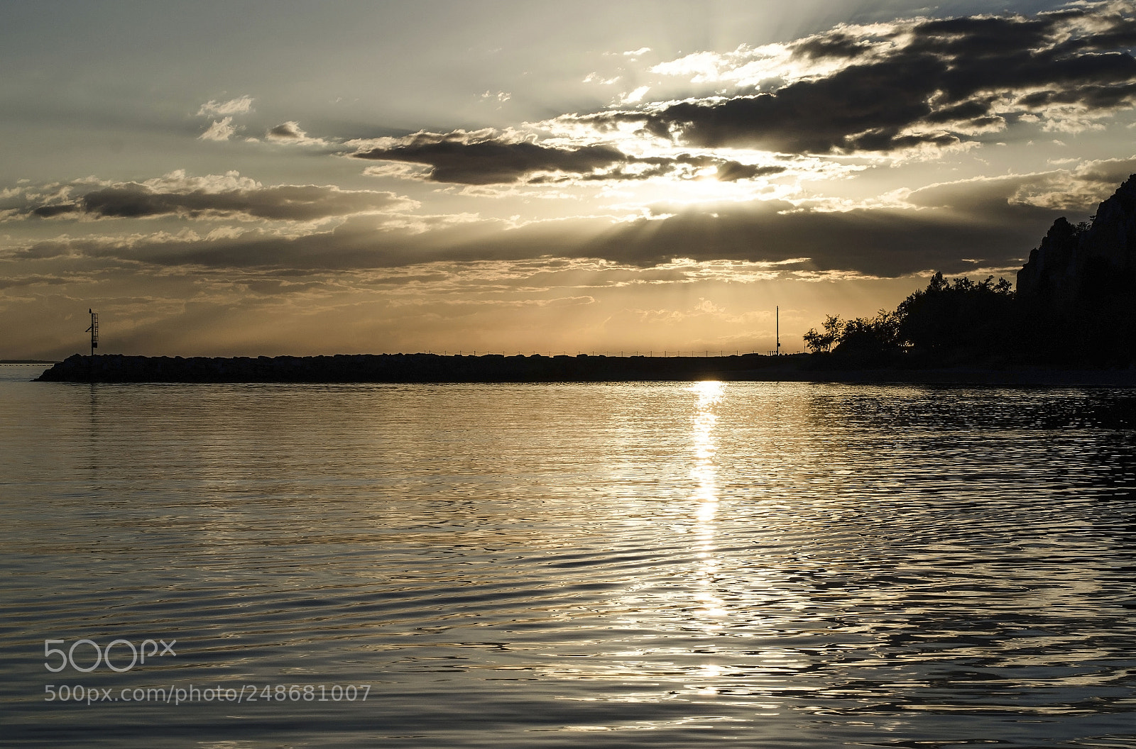 Nikon D7000 sample photo. Golden sea photography