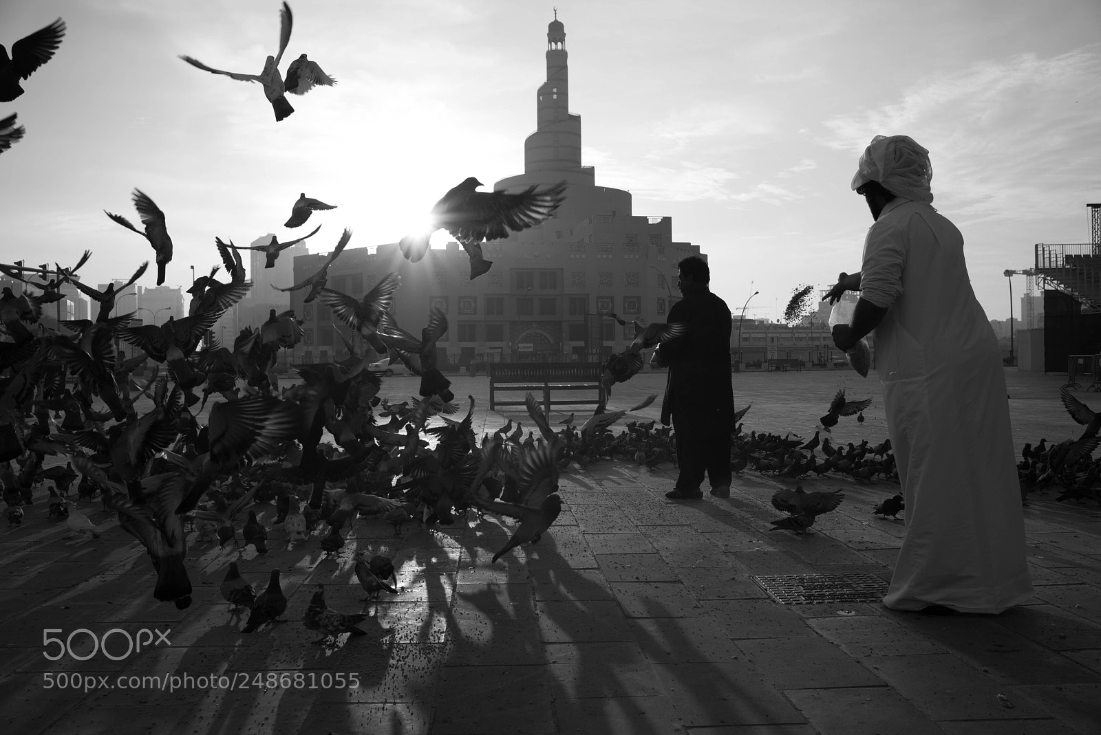 Leica M Monochrom (Typ 246) sample photo. Feeding the pigeons photography