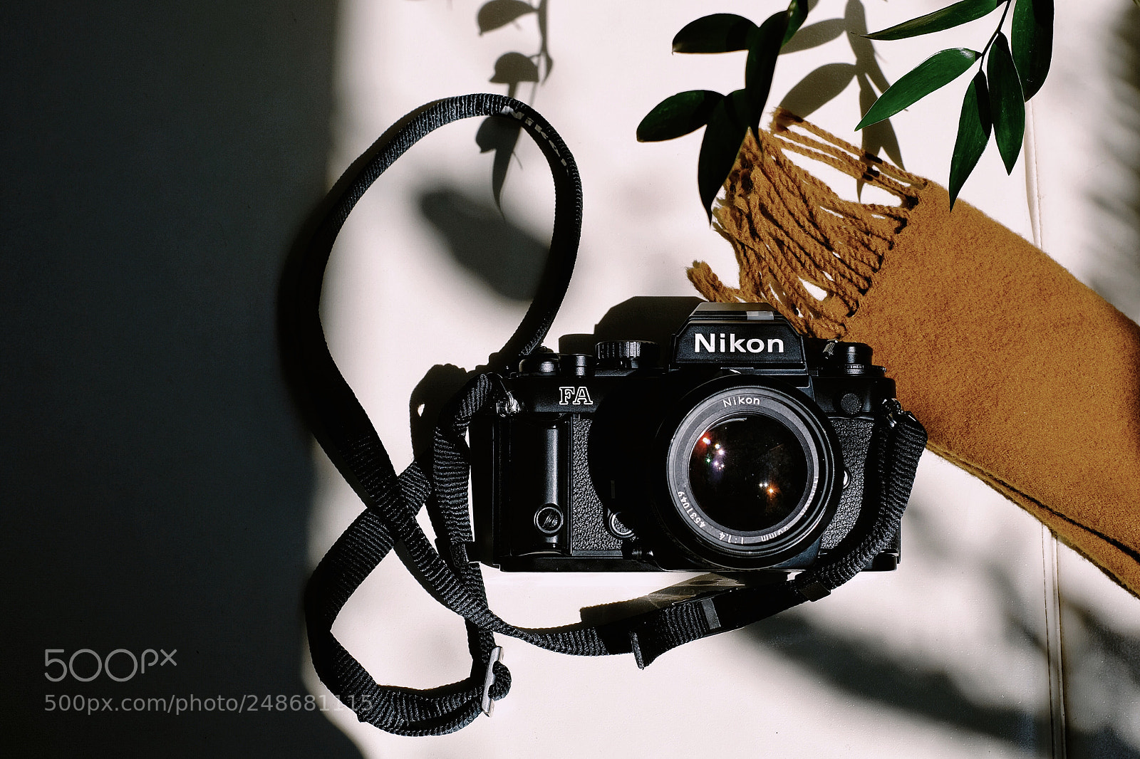 Fujifilm X-T20 sample photo. Untitled photography