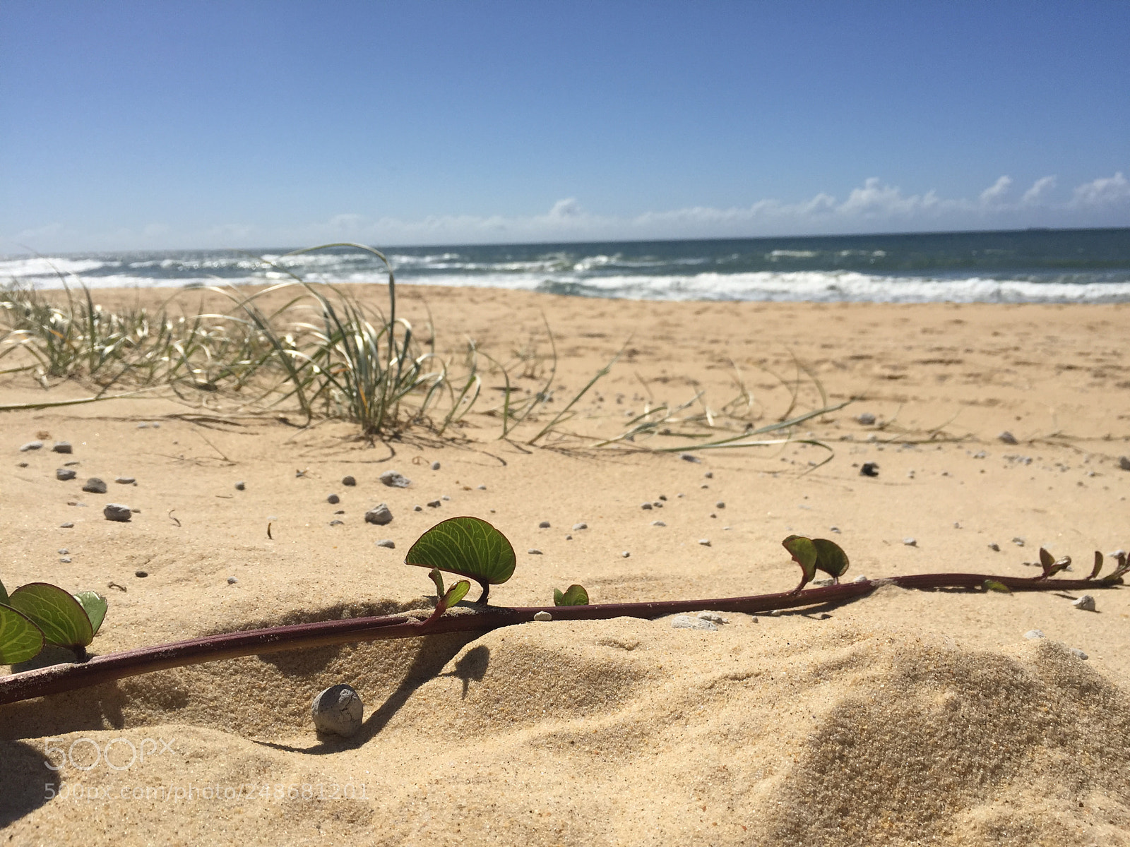 Apple iPhone 6 sample photo. Beautiful australian beach photography