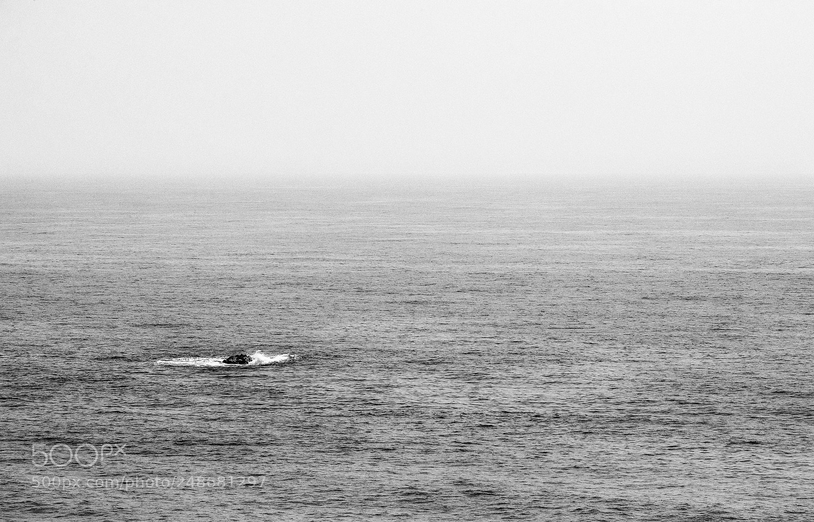 Nikon D600 sample photo. Untitled photography