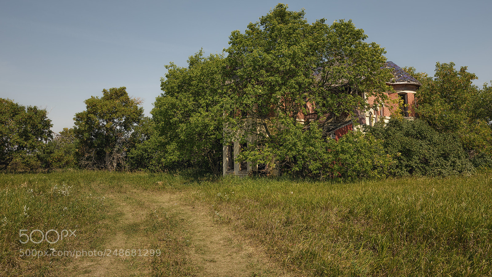 Nikon D810 sample photo. Summertime in the void... photography
