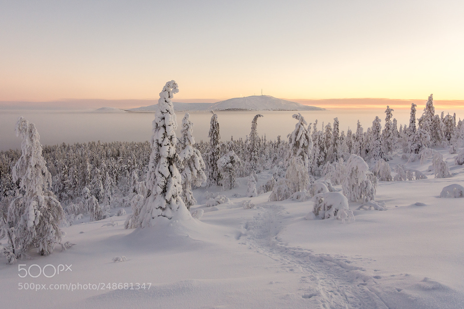 Nikon D7200 sample photo. Ylläs photography