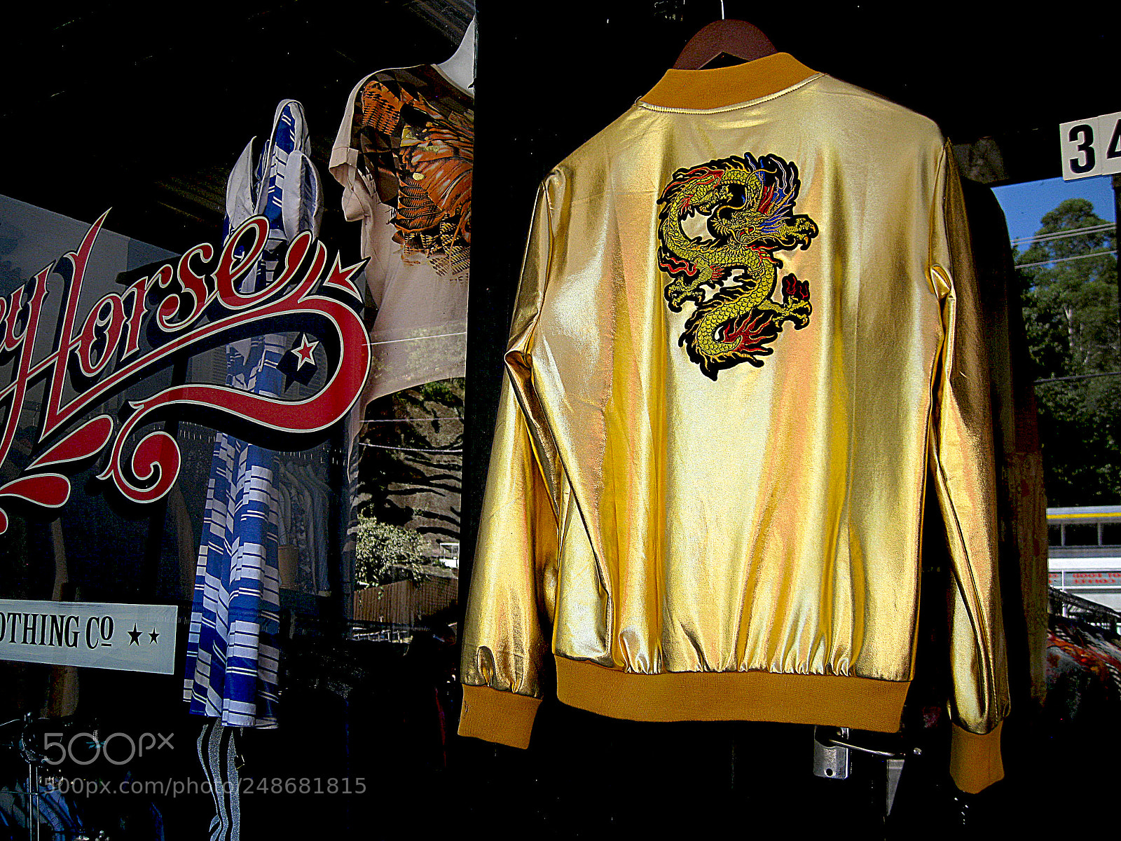 Canon DIGITAL IXUS 960 IS sample photo. Golden jacket photography