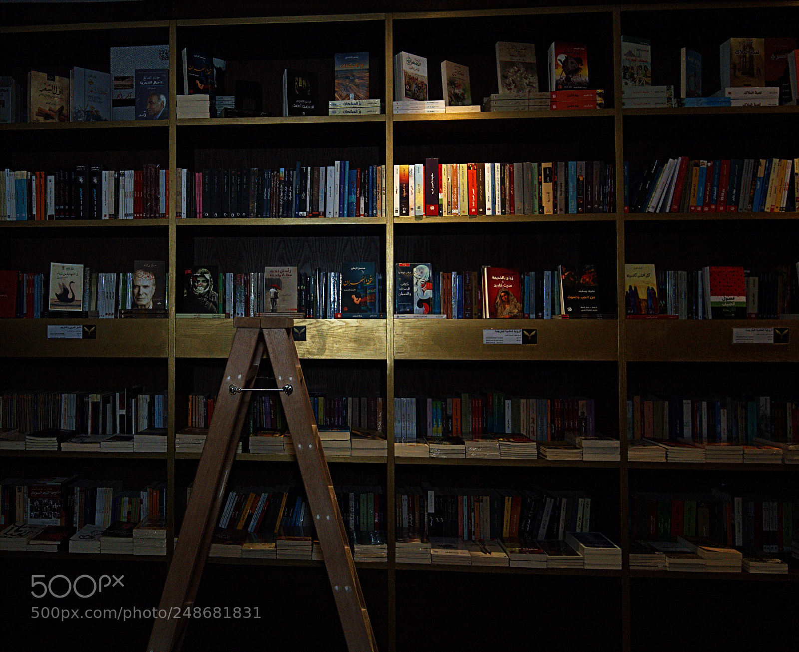 Nikon D850 sample photo. Library book photography