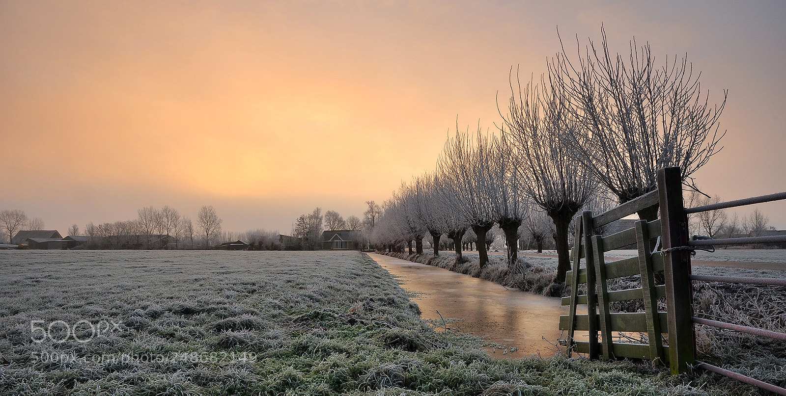 Nikon D90 sample photo. Cold morning photography