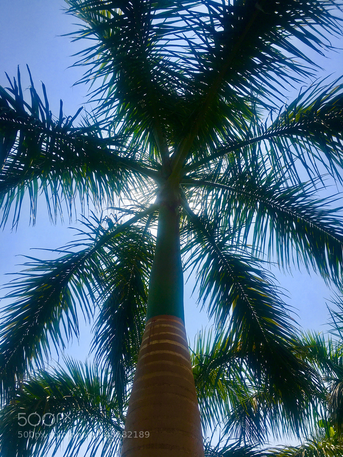 Apple iPhone 6s sample photo. Summer photography