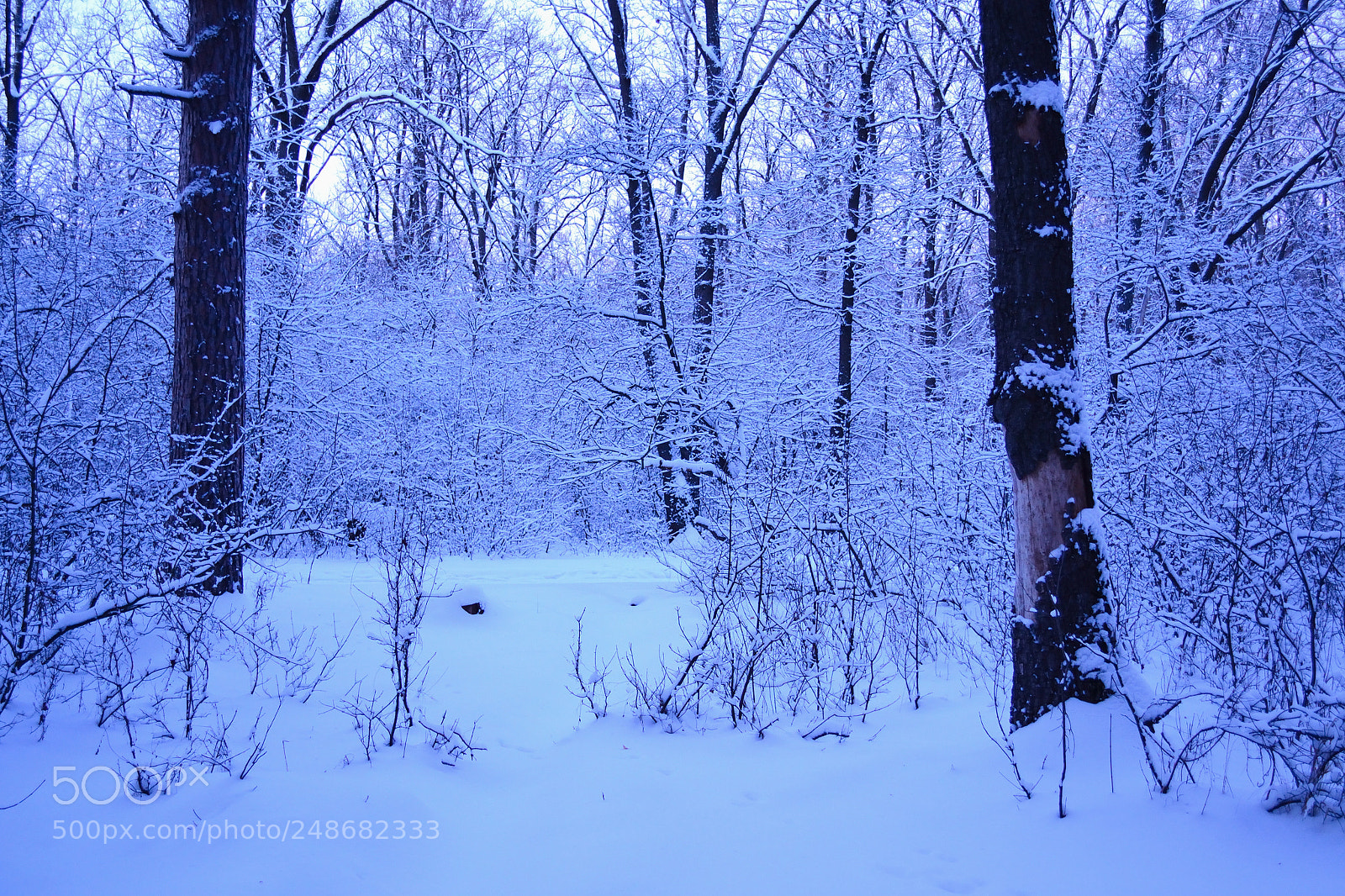 Nikon D3100 sample photo. Blue twilight photography
