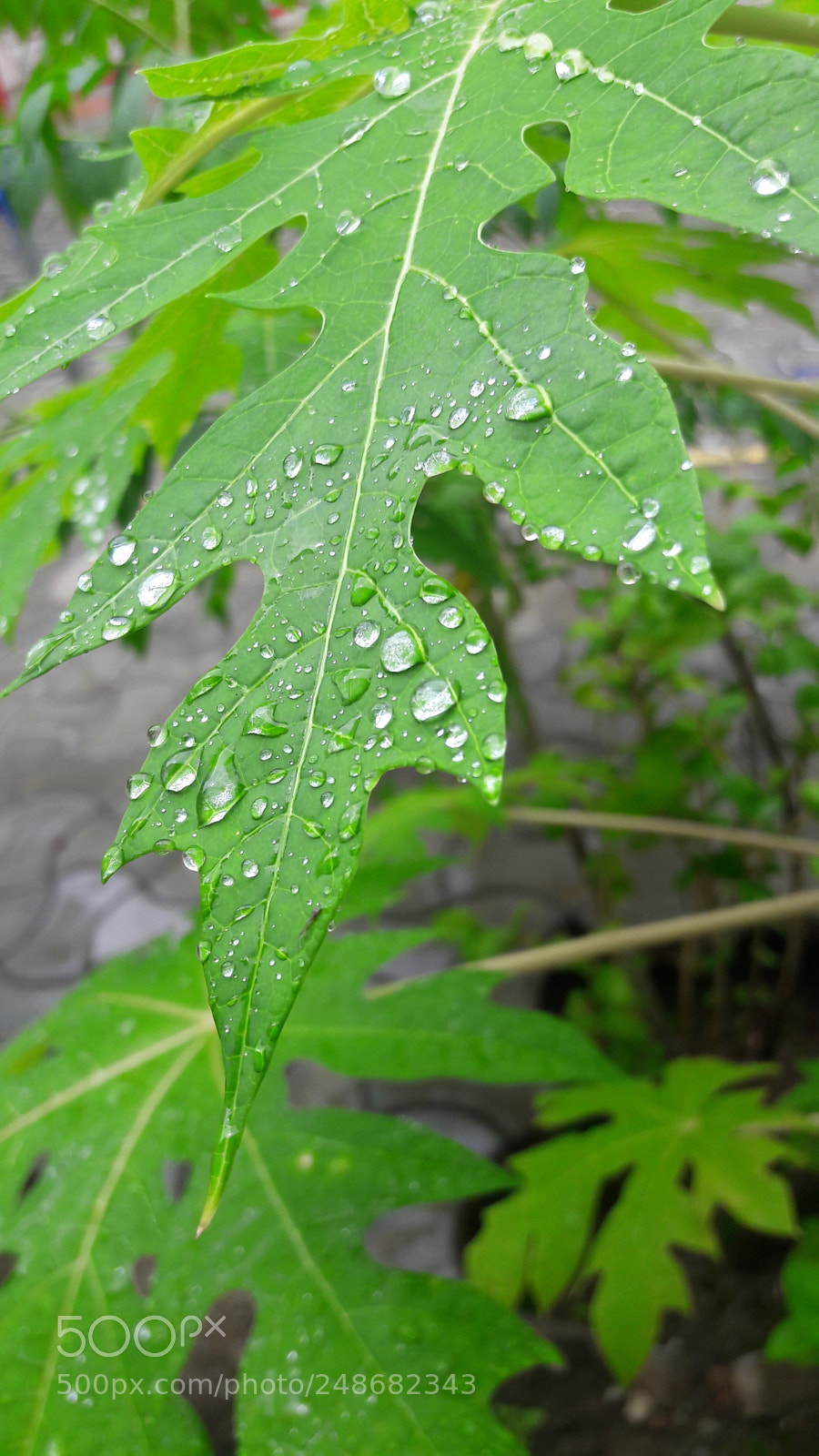 Samsung Galaxy J7 sample photo. Untitled photography