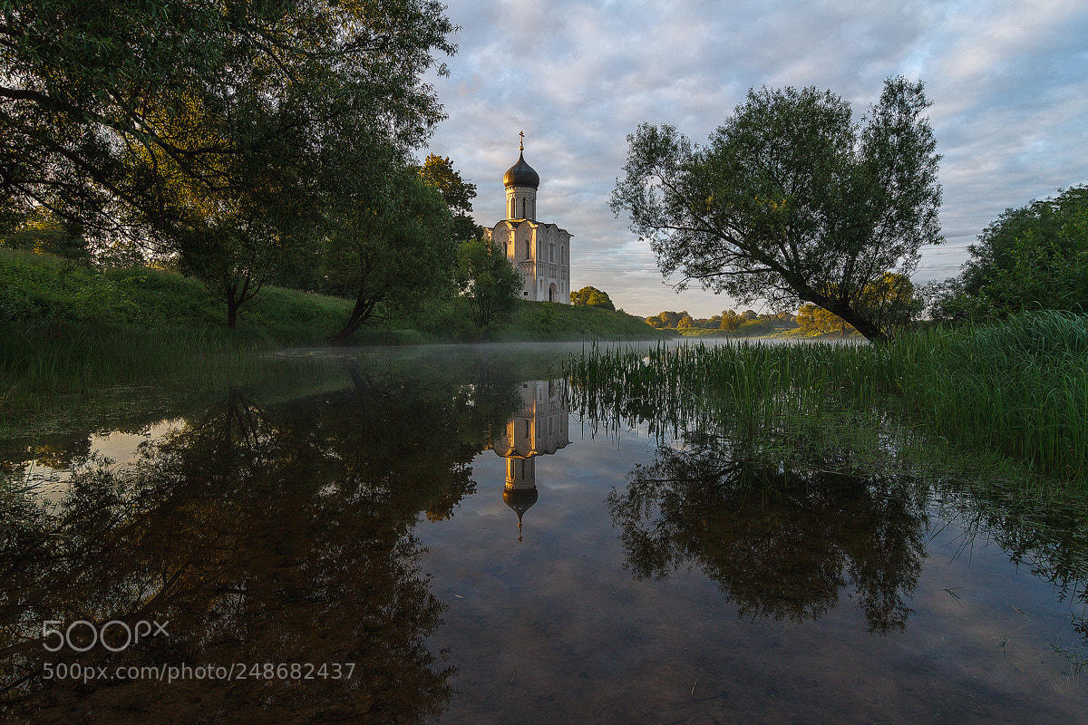 Canon EOS 50D sample photo. Церковь покрова на Нерли /  church of the interces photography