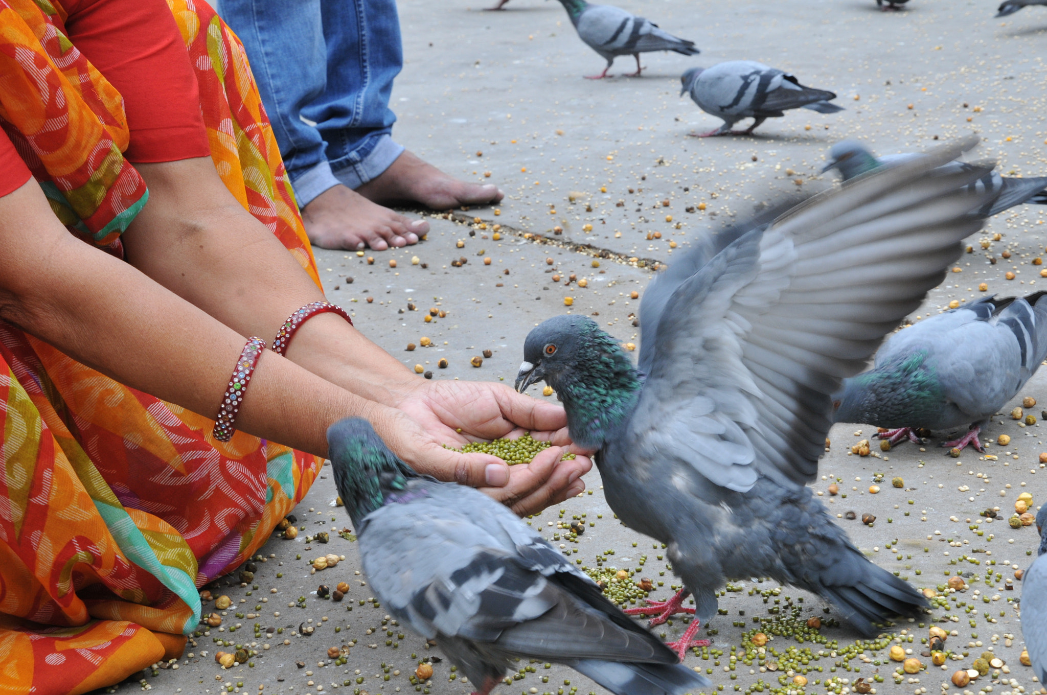 Nikon D300 sample photo. Ready to fly photography