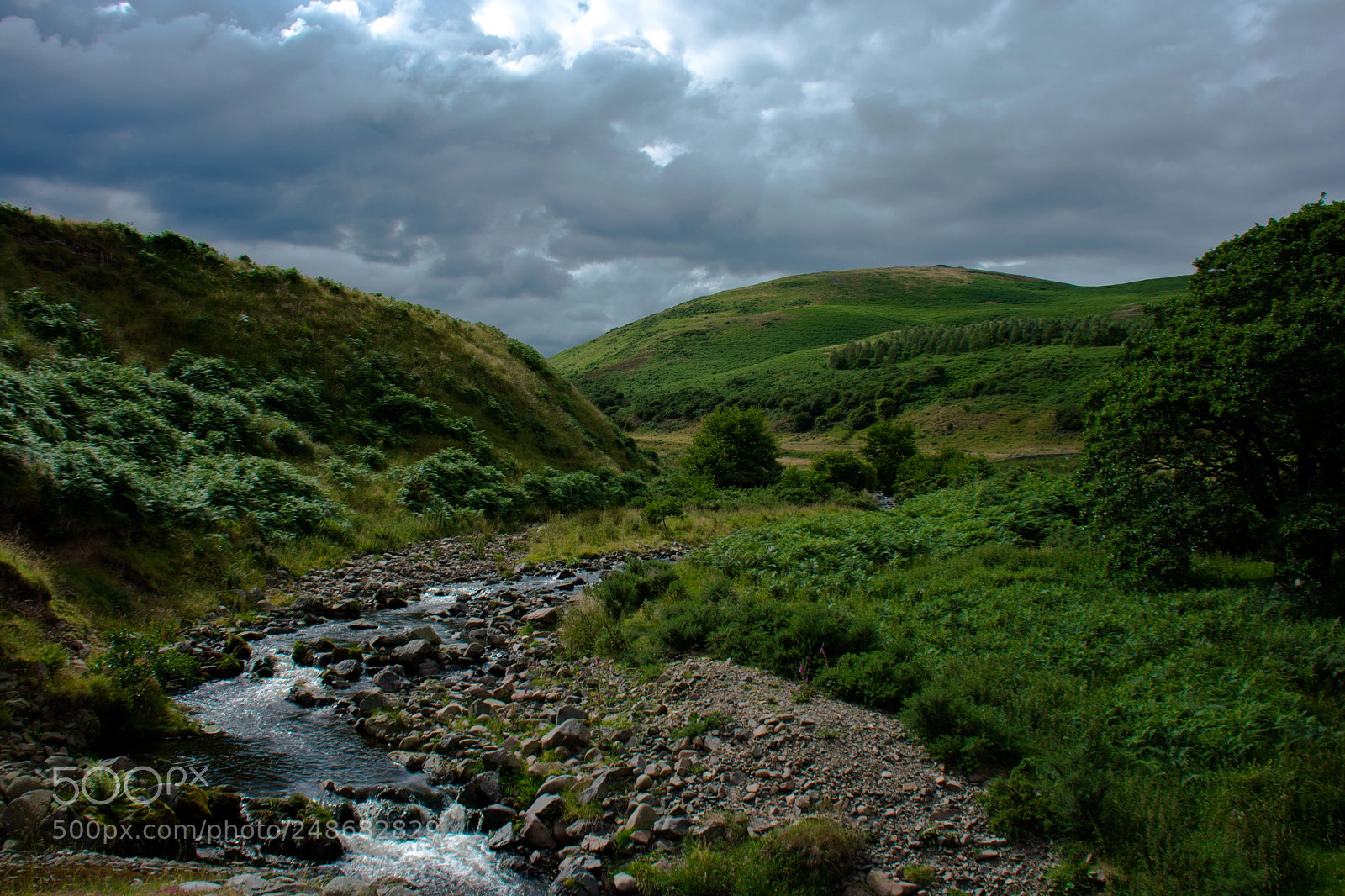 Nikon D7100 sample photo. Flow photography