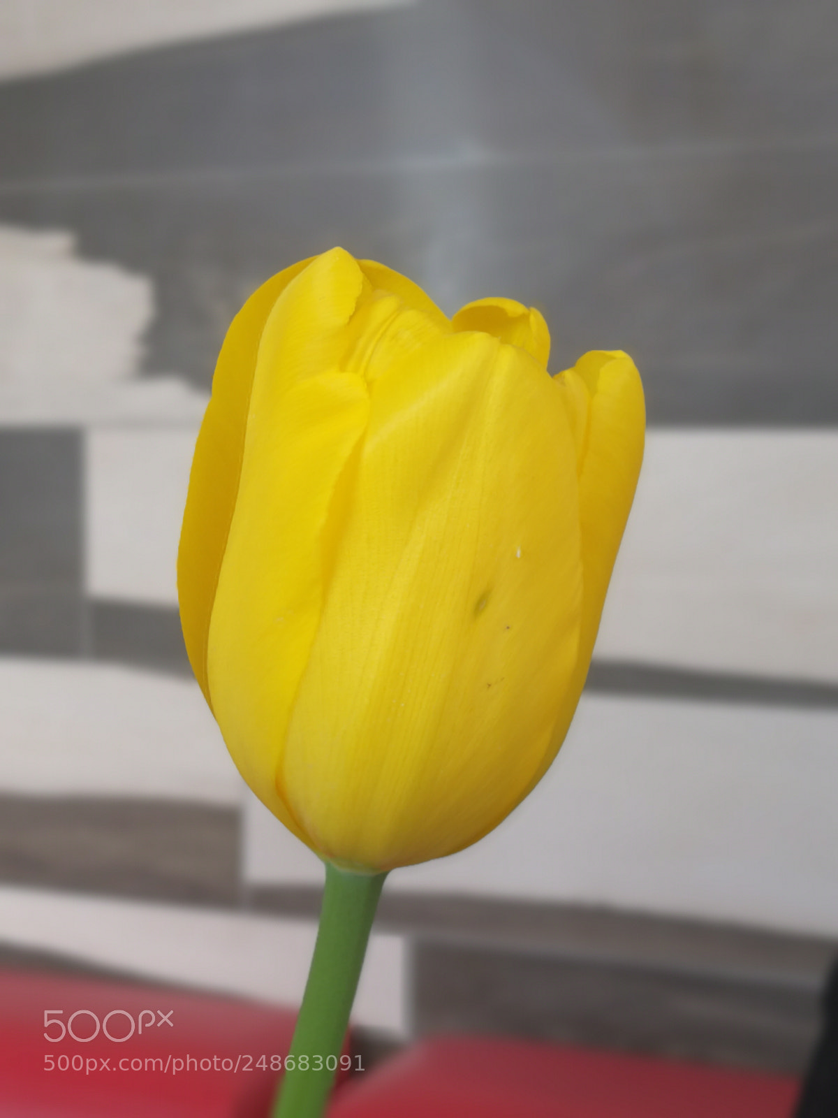 HUAWEI Mate 9 sample photo. Untitled photography