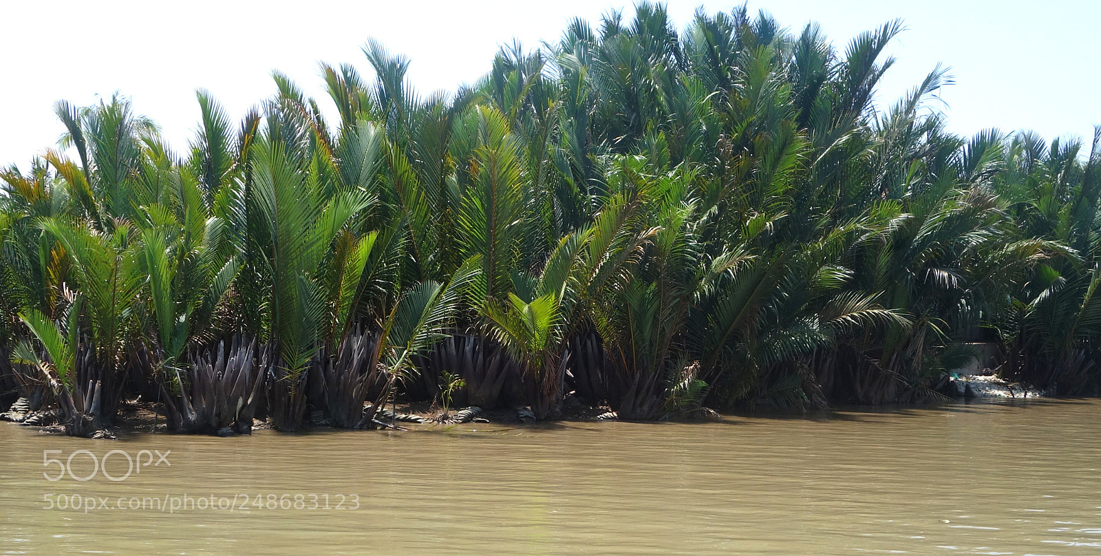 Sony Cyber-shot DSC-RX100 II sample photo. Mekong lot () photography