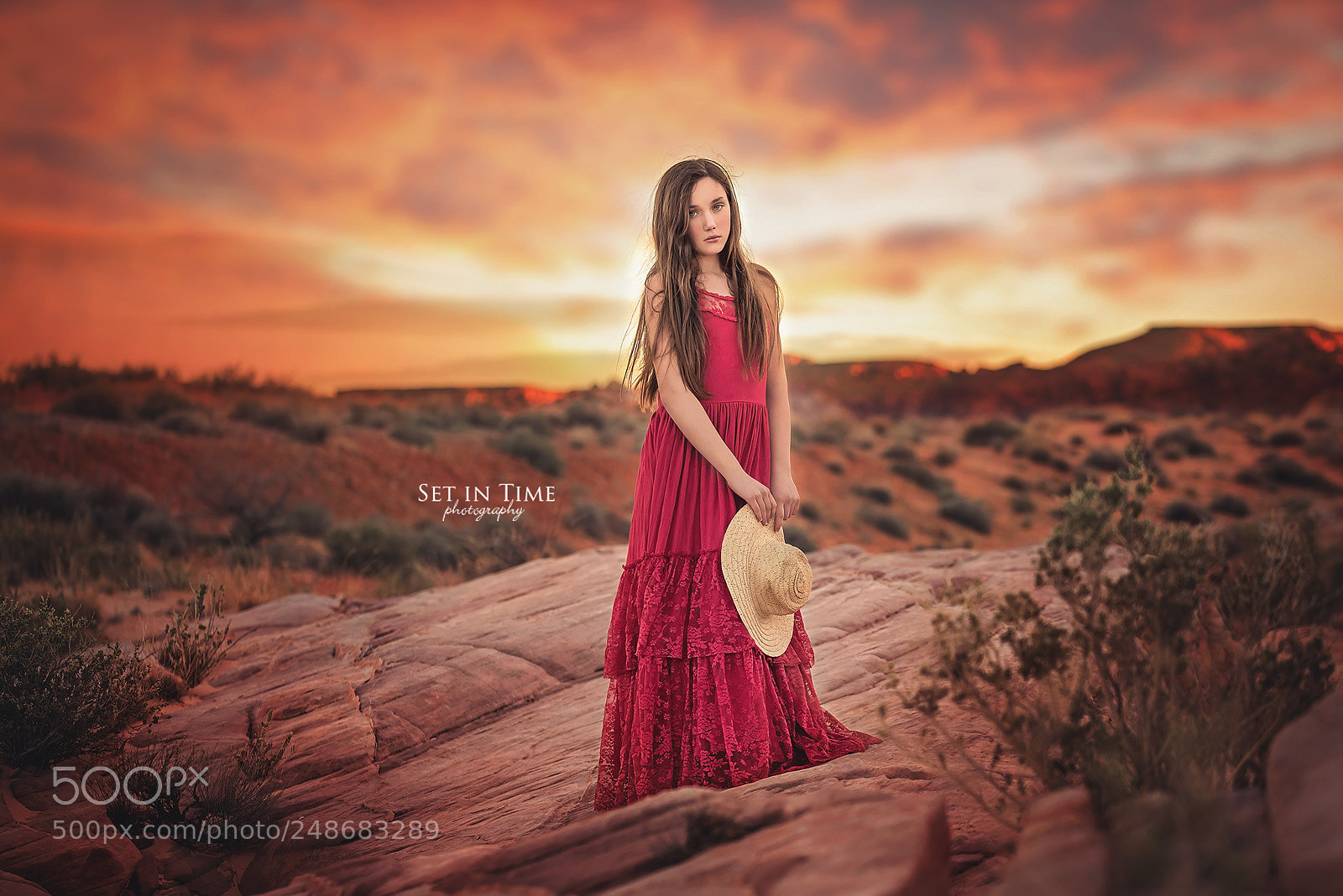 Nikon D810 sample photo. Desert beauty photography