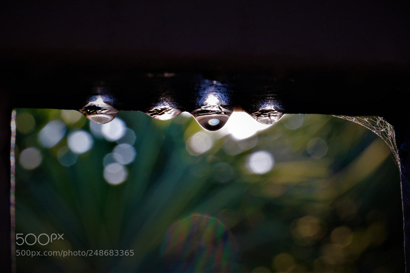 Canon EOS 7D Mark II sample photo. Morning photography