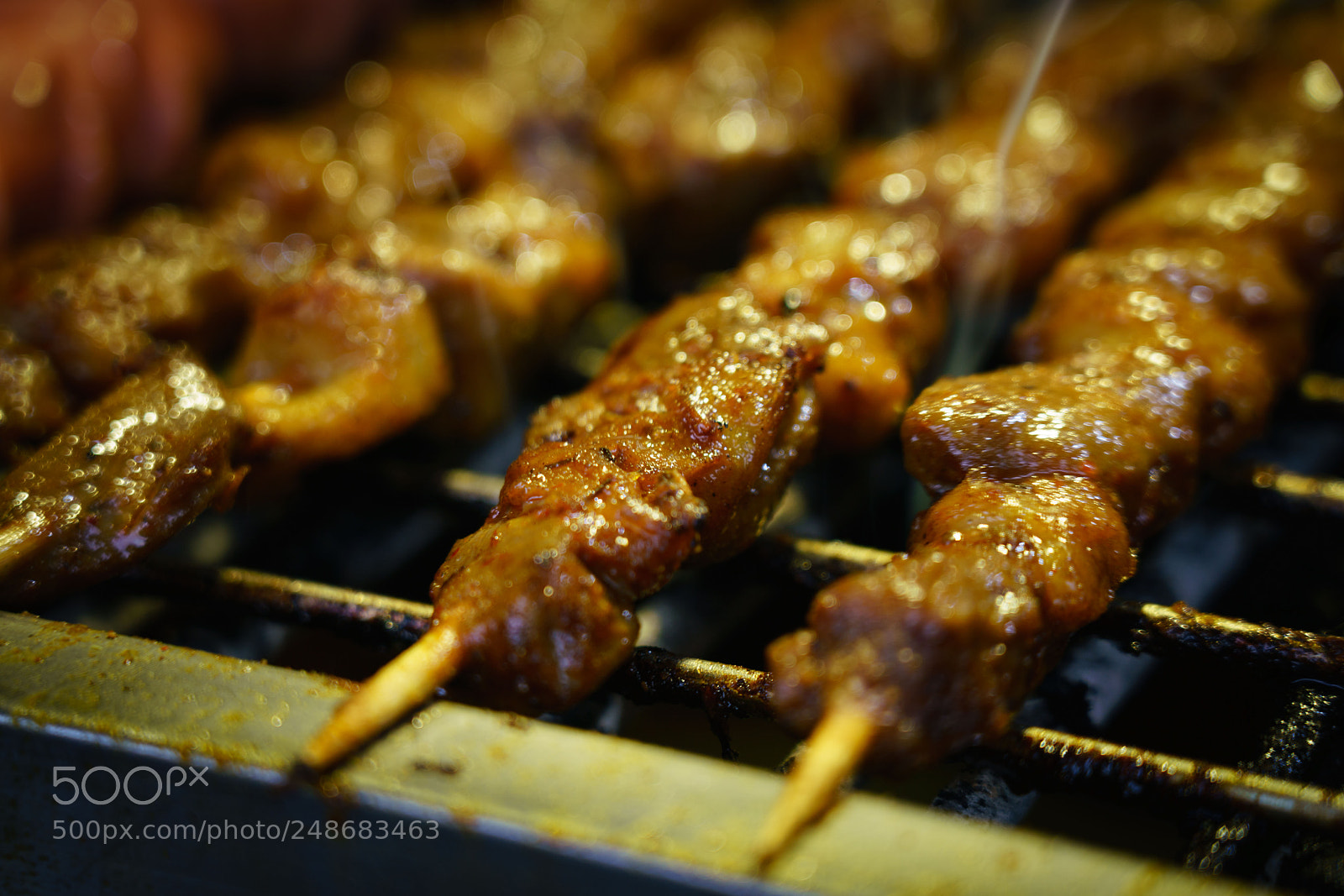 Sony a7R II sample photo. Roast photography