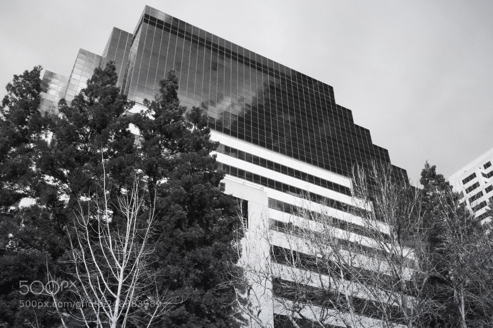Panasonic Lumix DMC-G5 sample photo. Lumix 506 tower bw photography