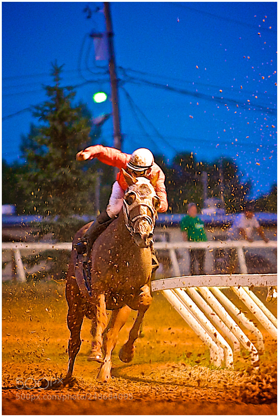 Nikon D700 sample photo. Untitled photography