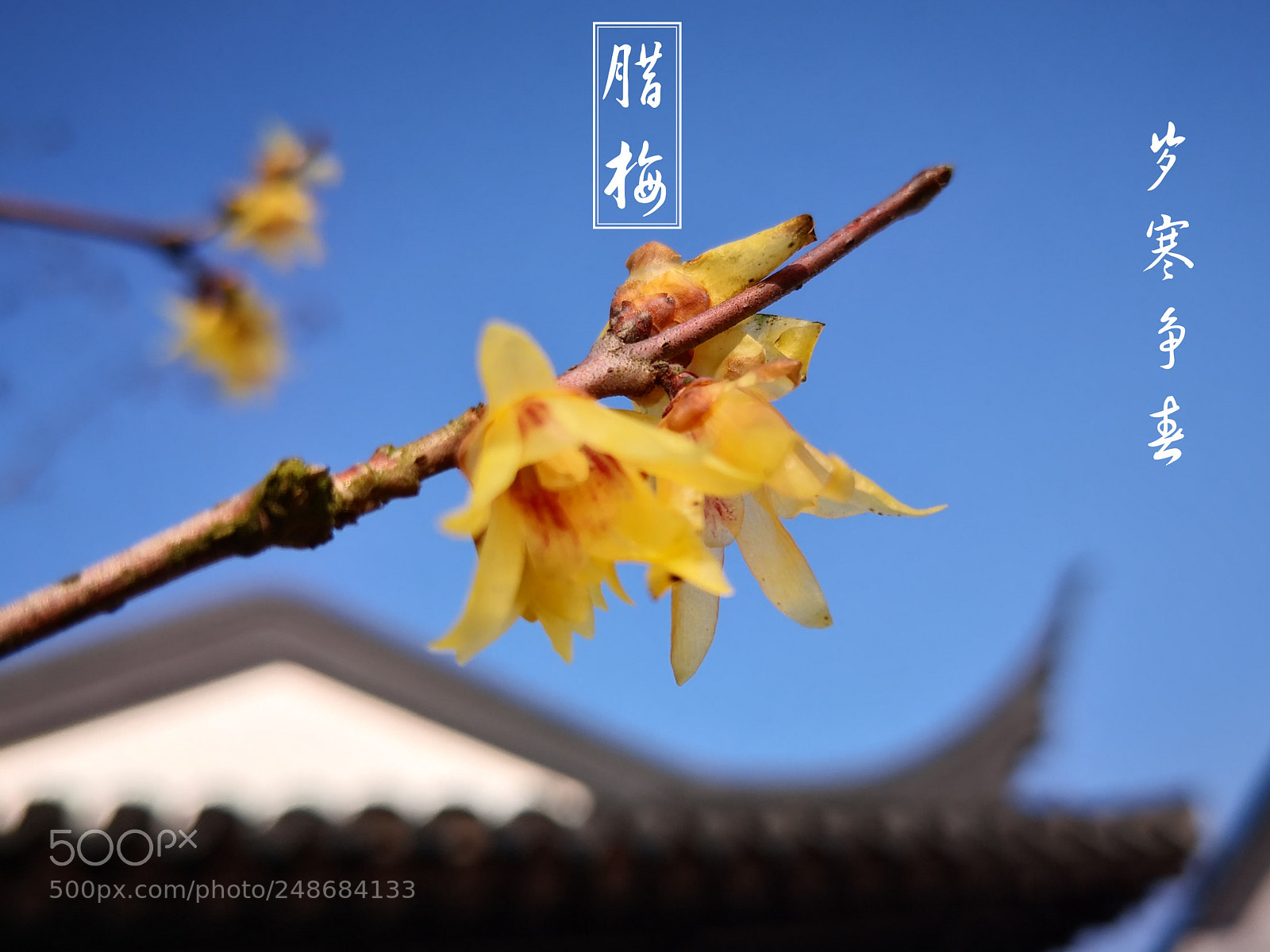HUAWEI Mate 10 sample photo. Untitled photography