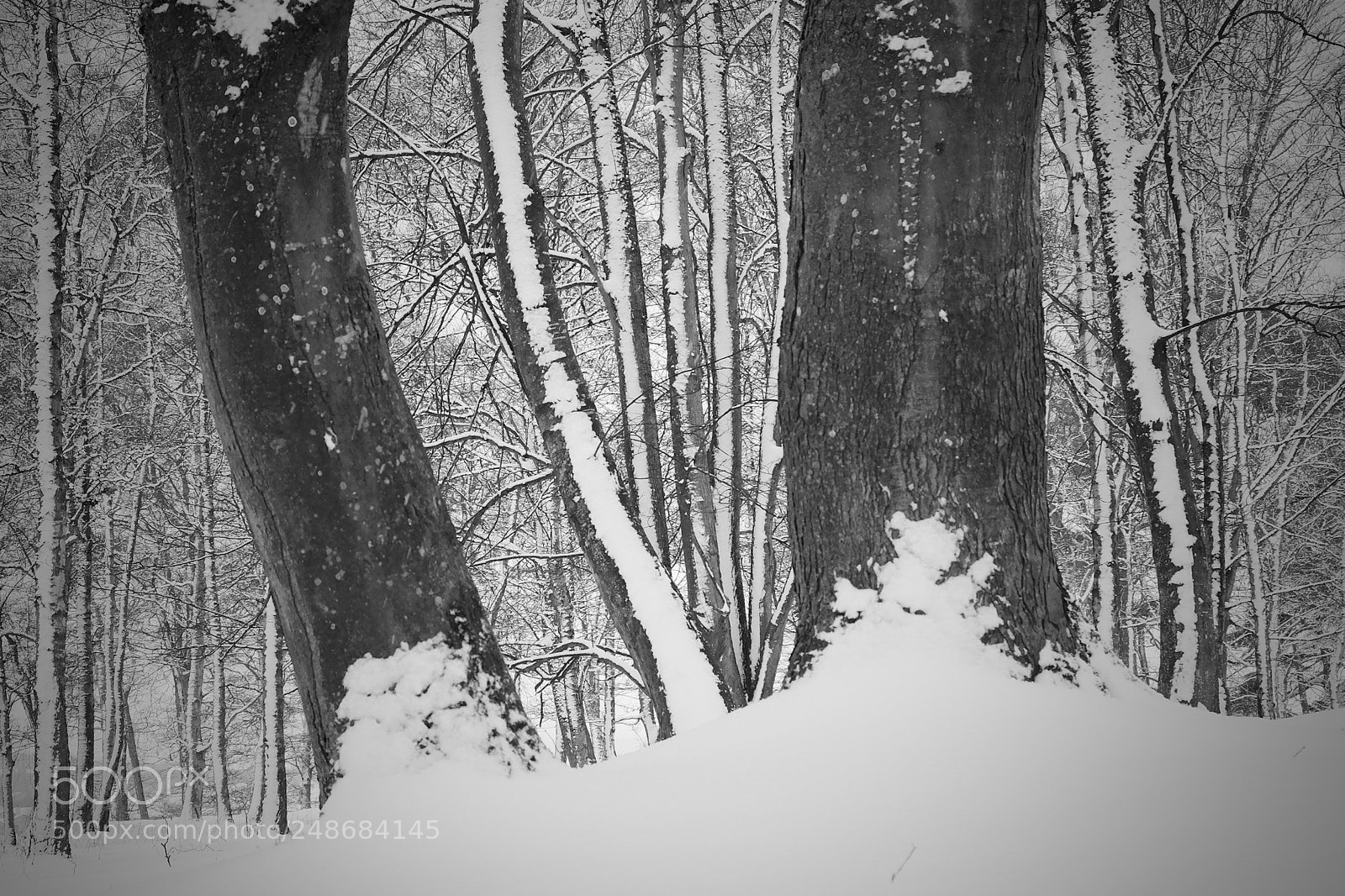 Fujifilm X-T1 sample photo. Untitled photography