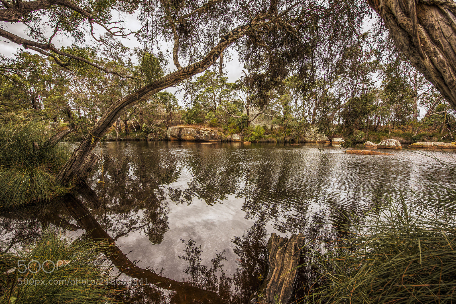 Nikon D810 sample photo. River renaissance photography
