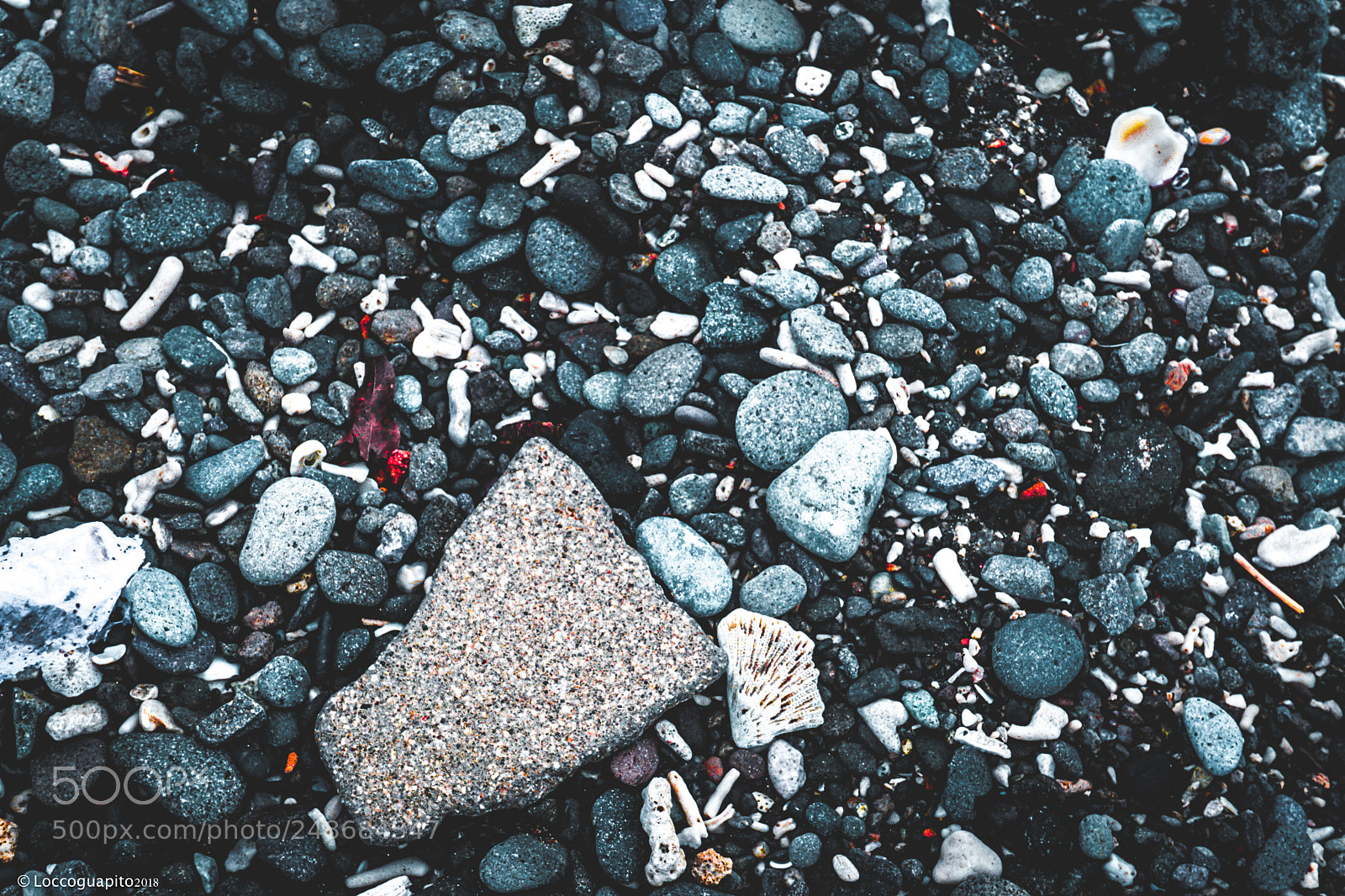 Sony a6000 sample photo. Dsc05151-4.jpg photography