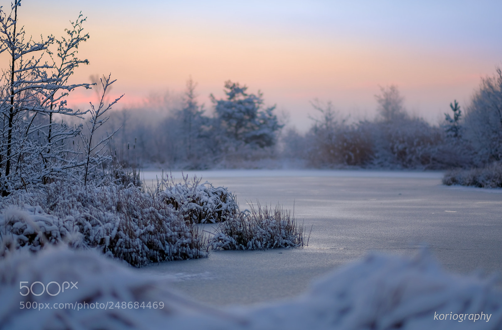 Fujifilm X-T2 sample photo. Cold case photography