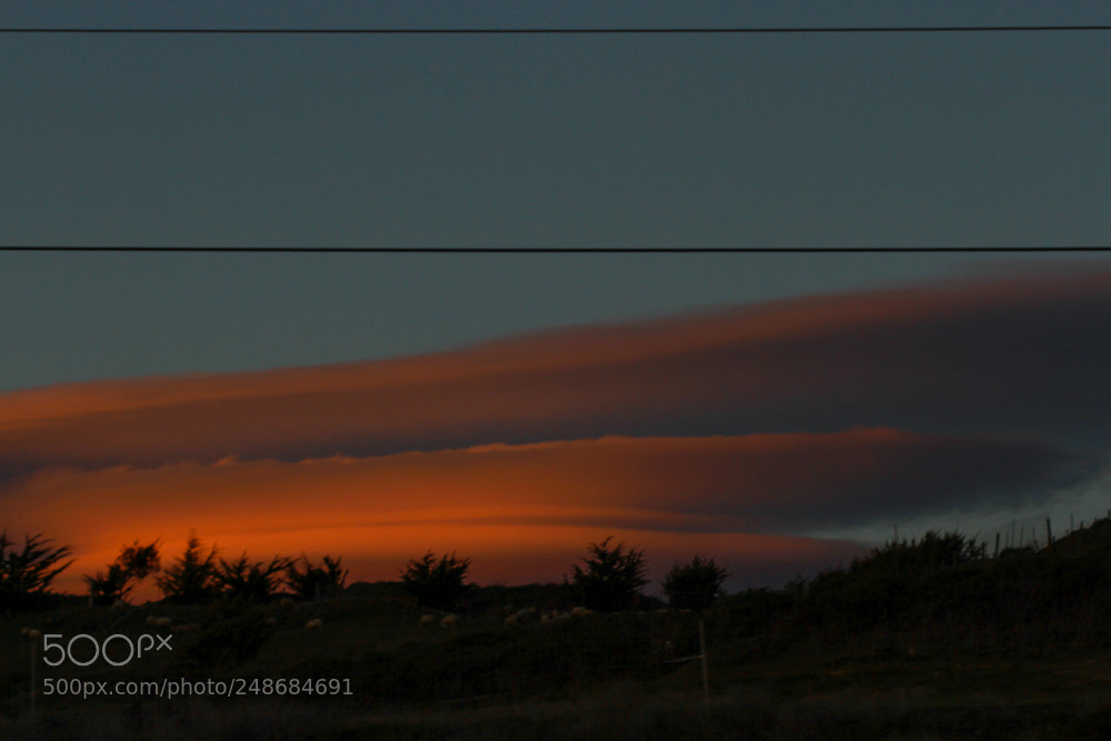 Canon EOS 7D sample photo. Lenticular loveliness photography