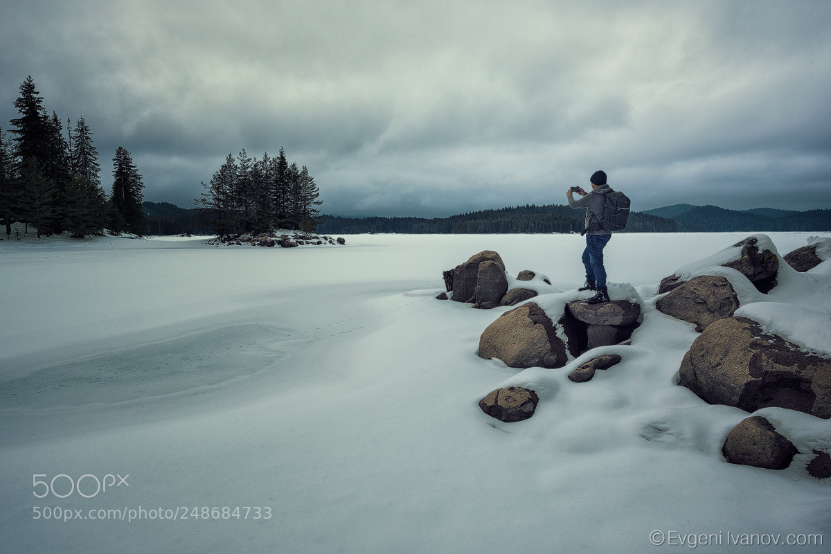 Nikon D810 sample photo. Winter tale photography
