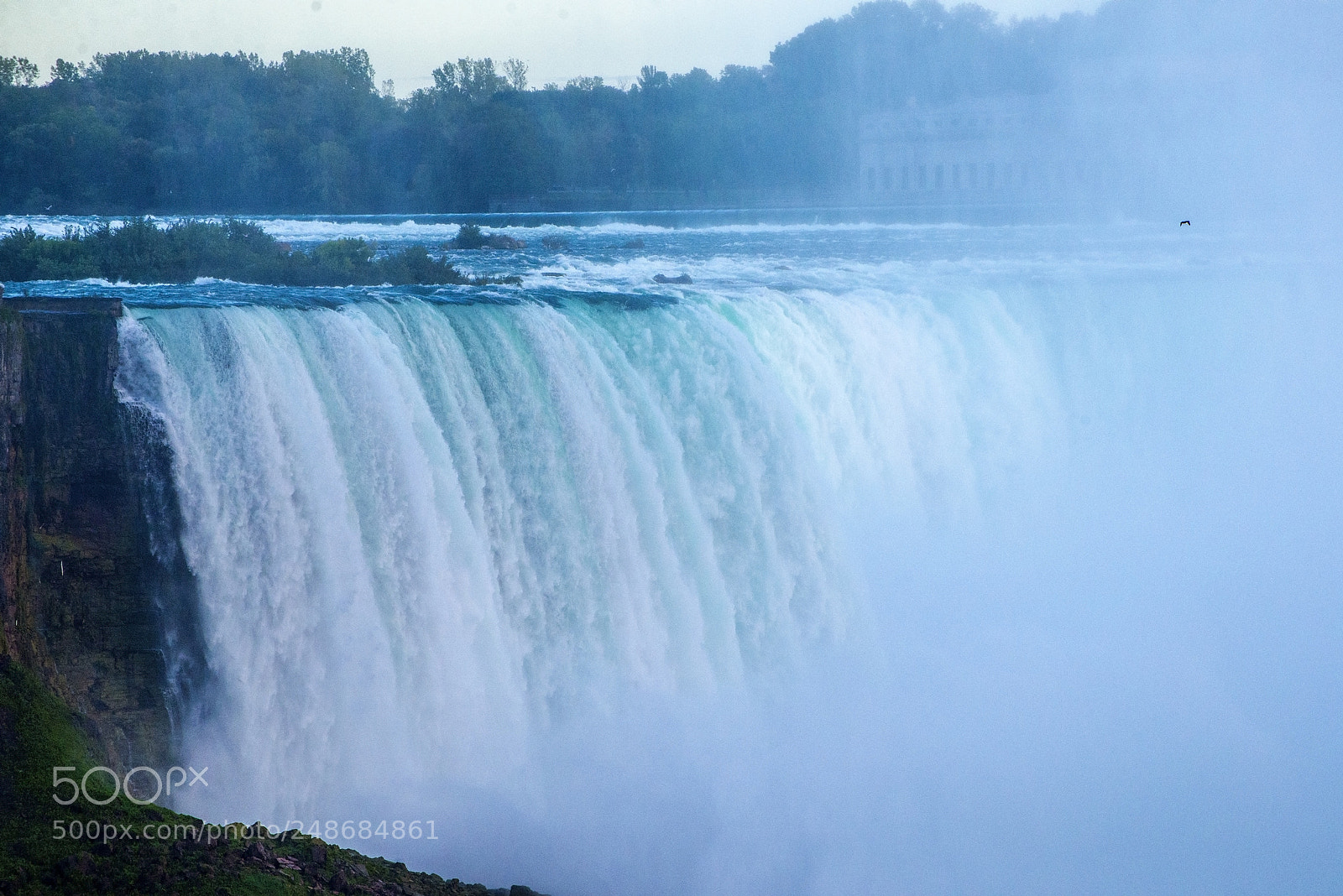 Nikon D600 sample photo. Flying through the mist (1) photography