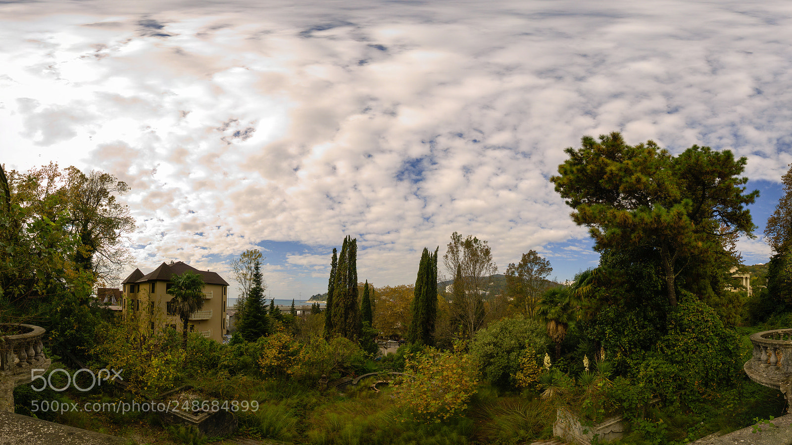 Sony a6000 sample photo. Autumn in sochi photography