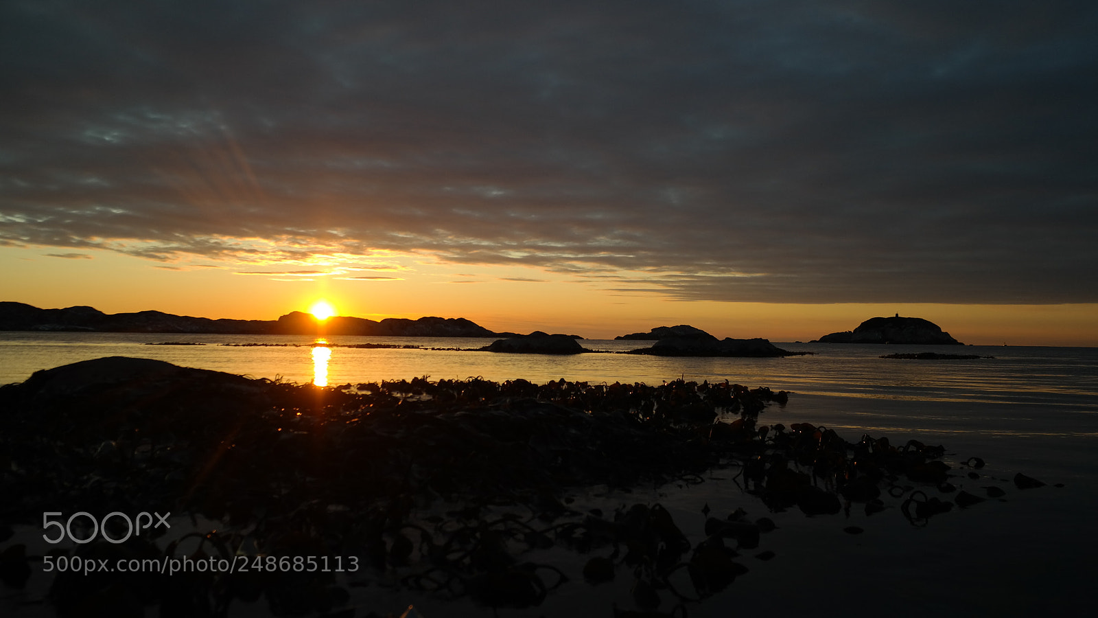 Samsung NX300 sample photo. Sunset seaweed.. b mlo photography