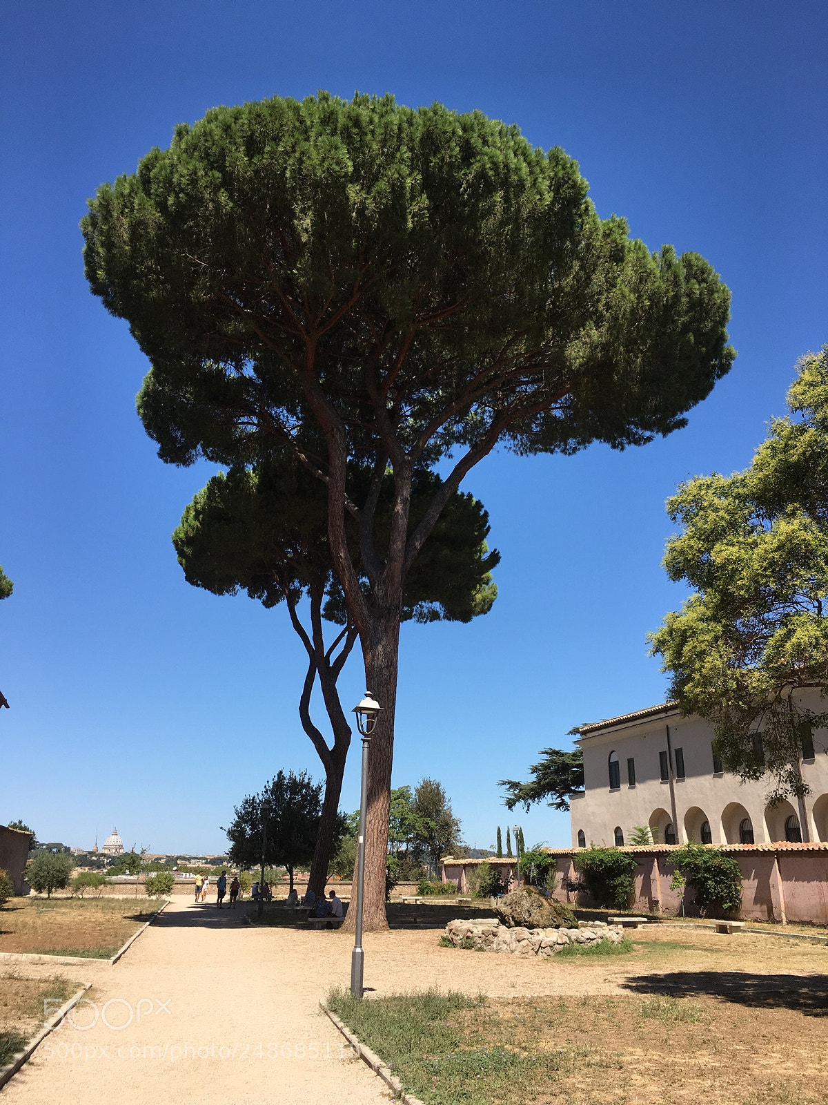 Apple iPhone 6s sample photo. Frascati photography