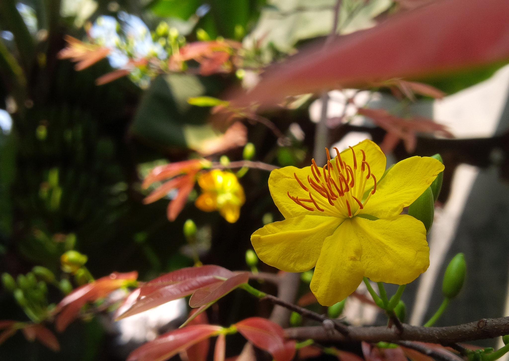 BlackBerry Z10 sample photo. Hm photography
