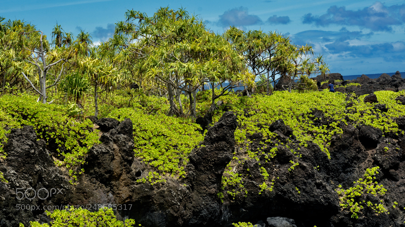 Nikon D7100 sample photo. Lava rock sculpture within photography