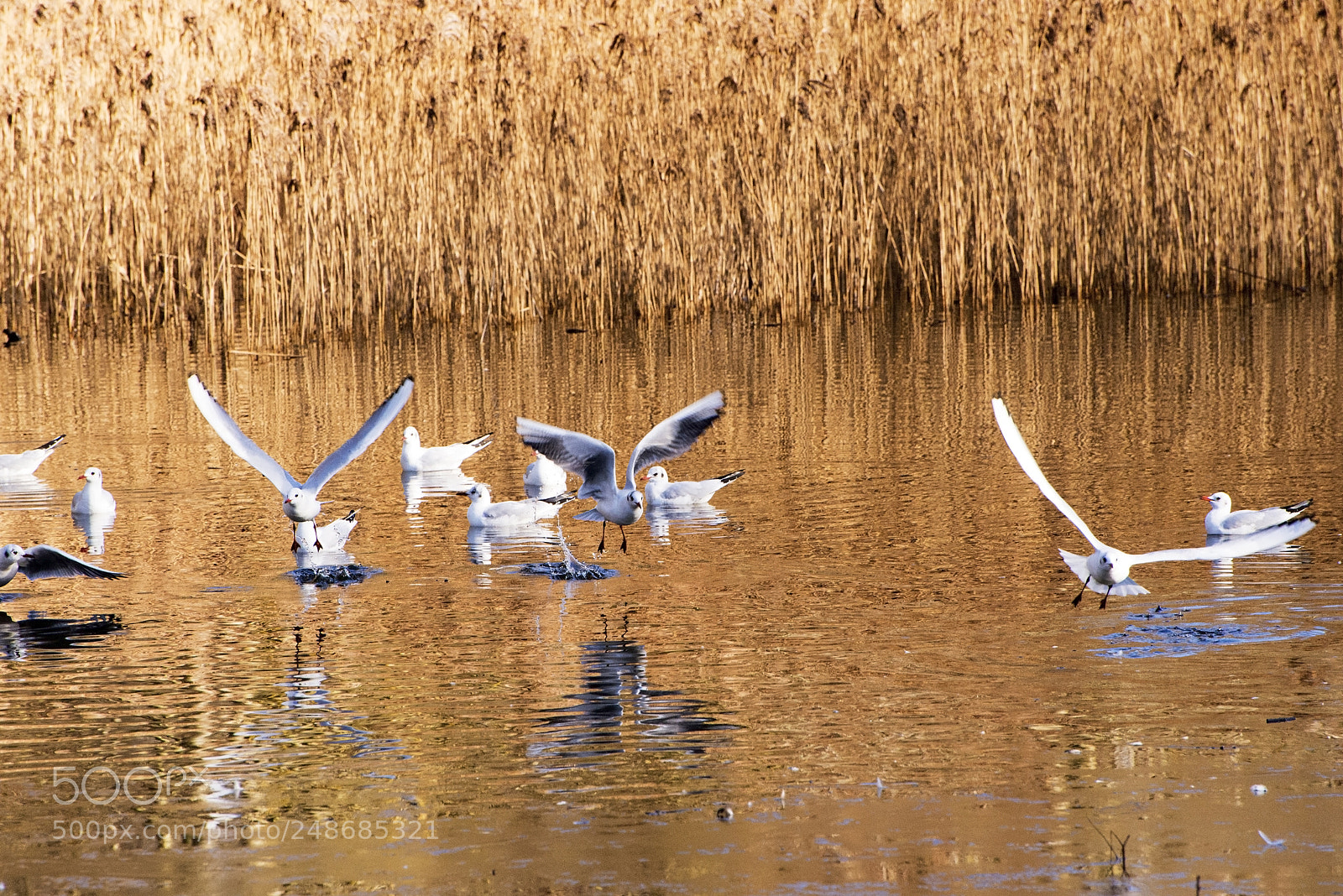 Nikon D600 sample photo. We have take off! (1) photography