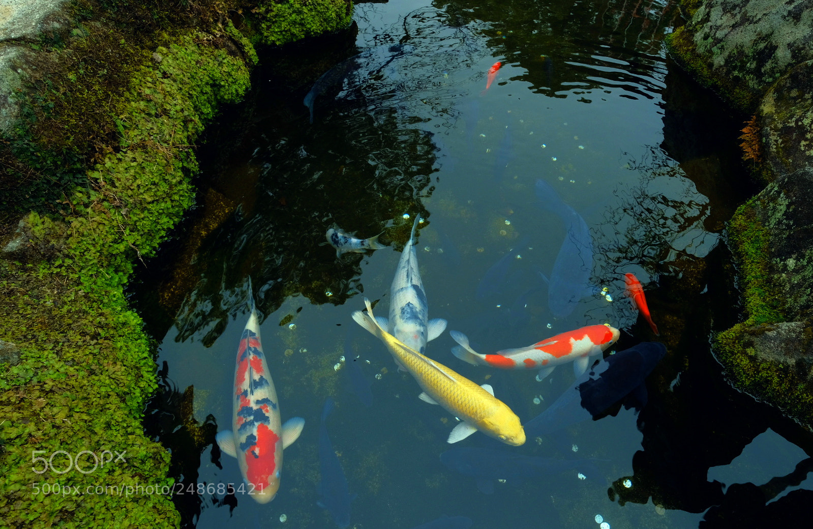 Fujifilm X-T2 sample photo. Untitled photography