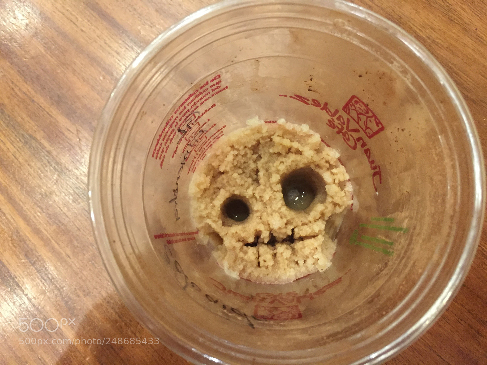 Apple iPhone 6 sample photo. Skull in ice photography